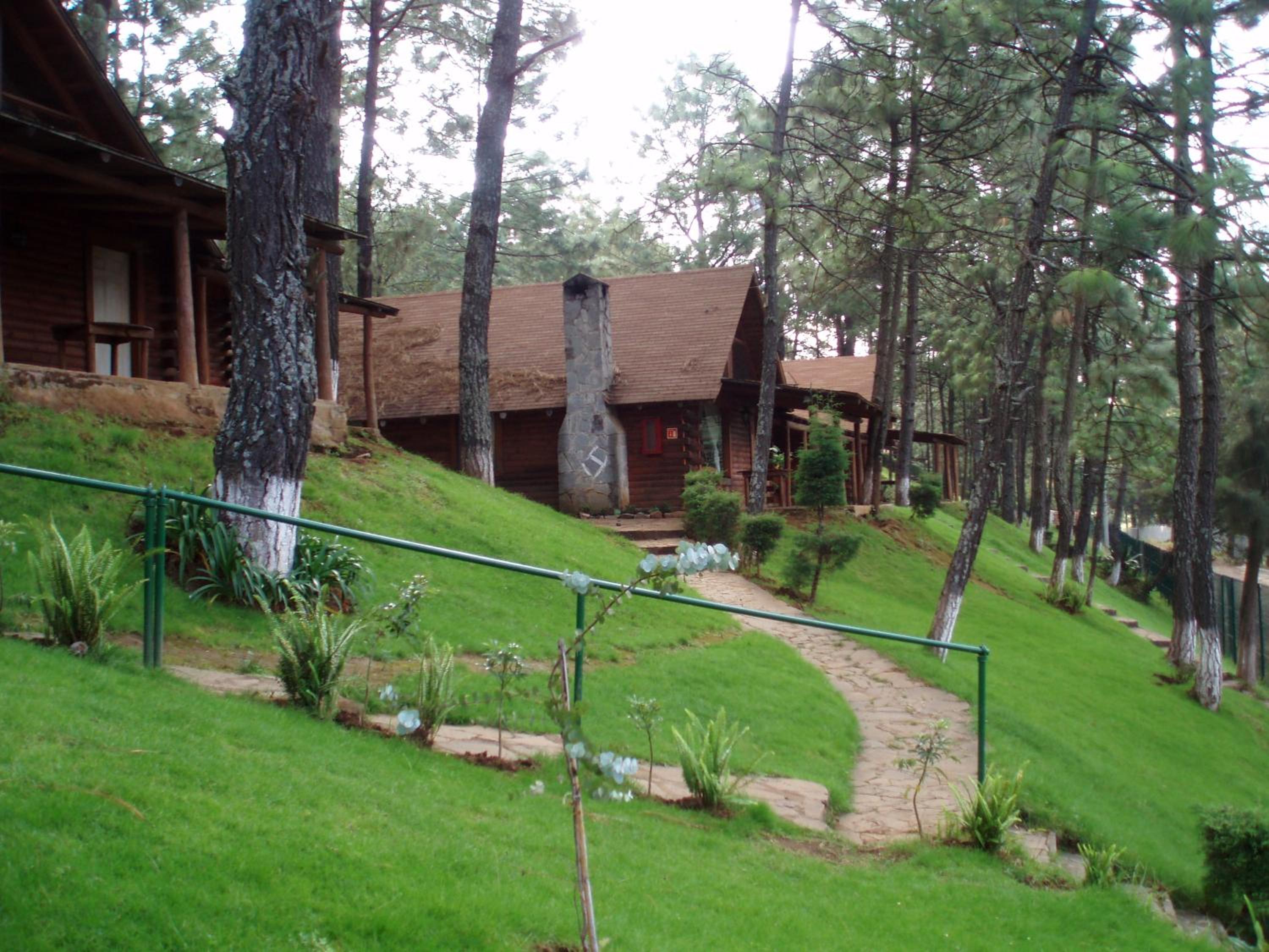 Big Cabin 3 Bedrooms photo 3