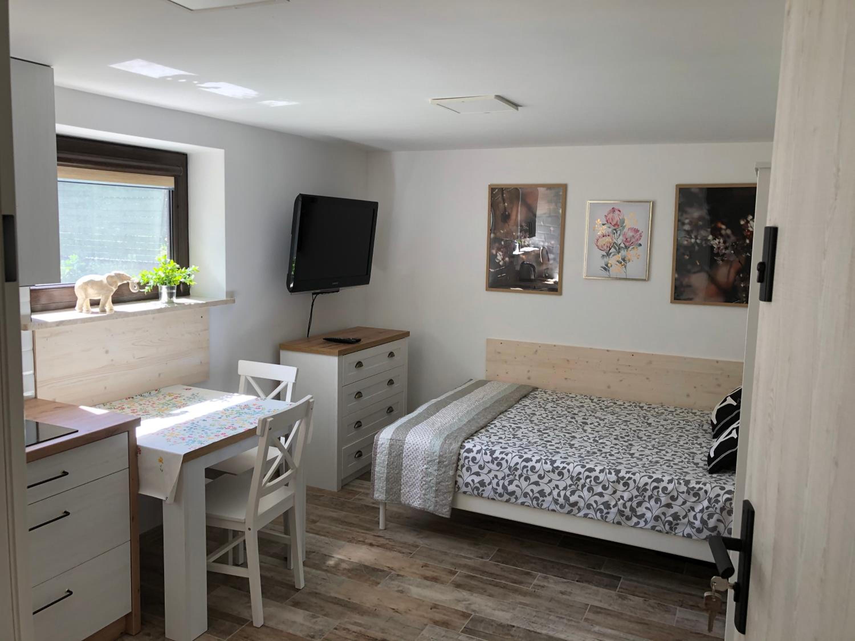 Studio Apartment