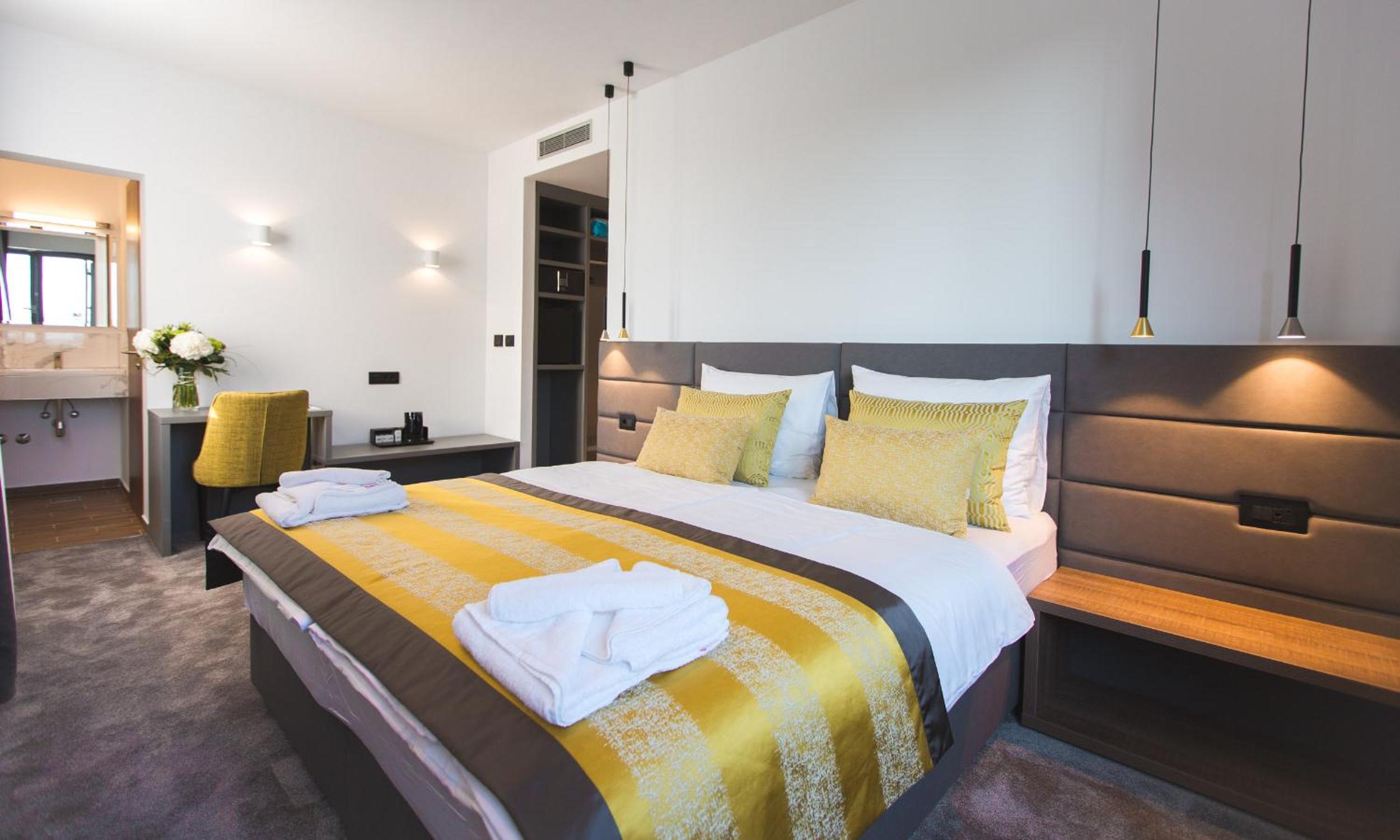 Deluxe Double or Twin Room photo 3