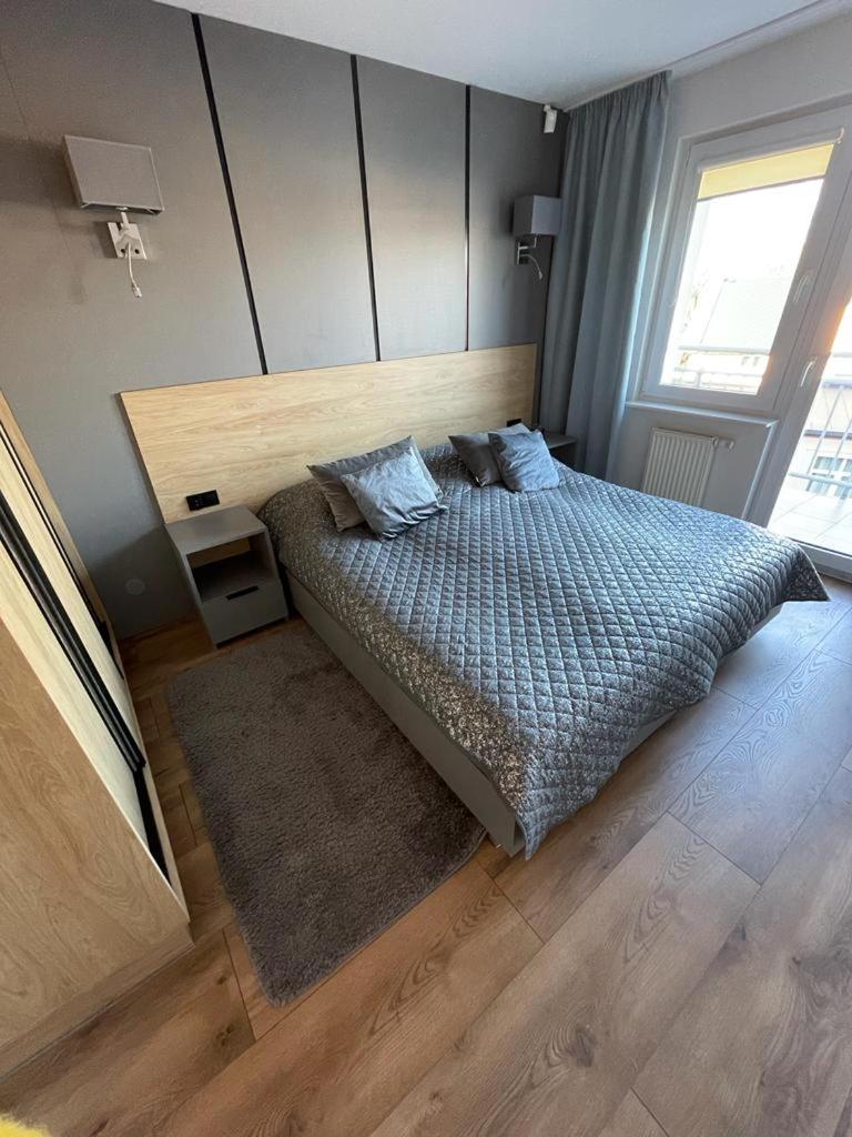 One-Bedroom Apartment thumbnail 6