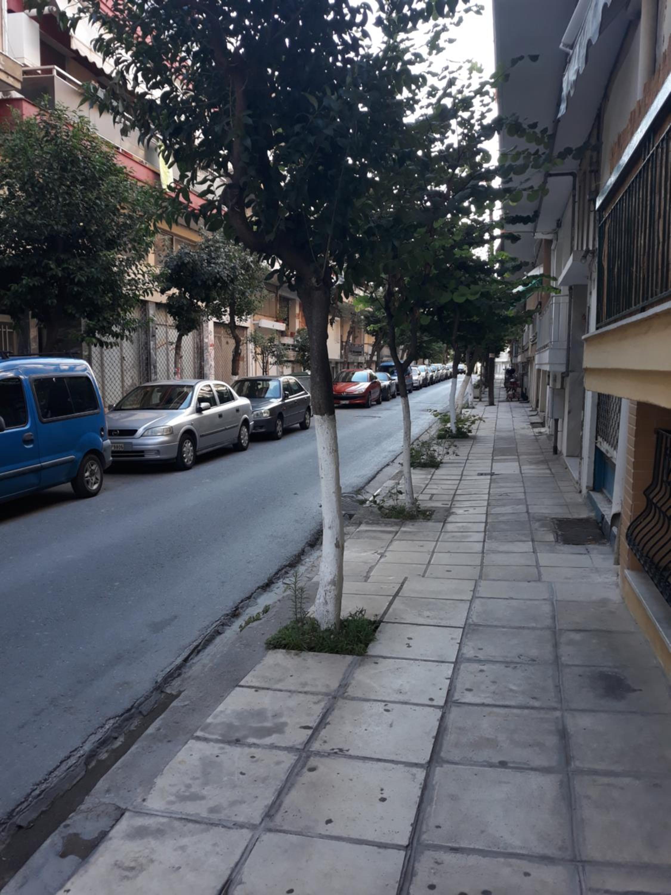 Apartment - Photo 21