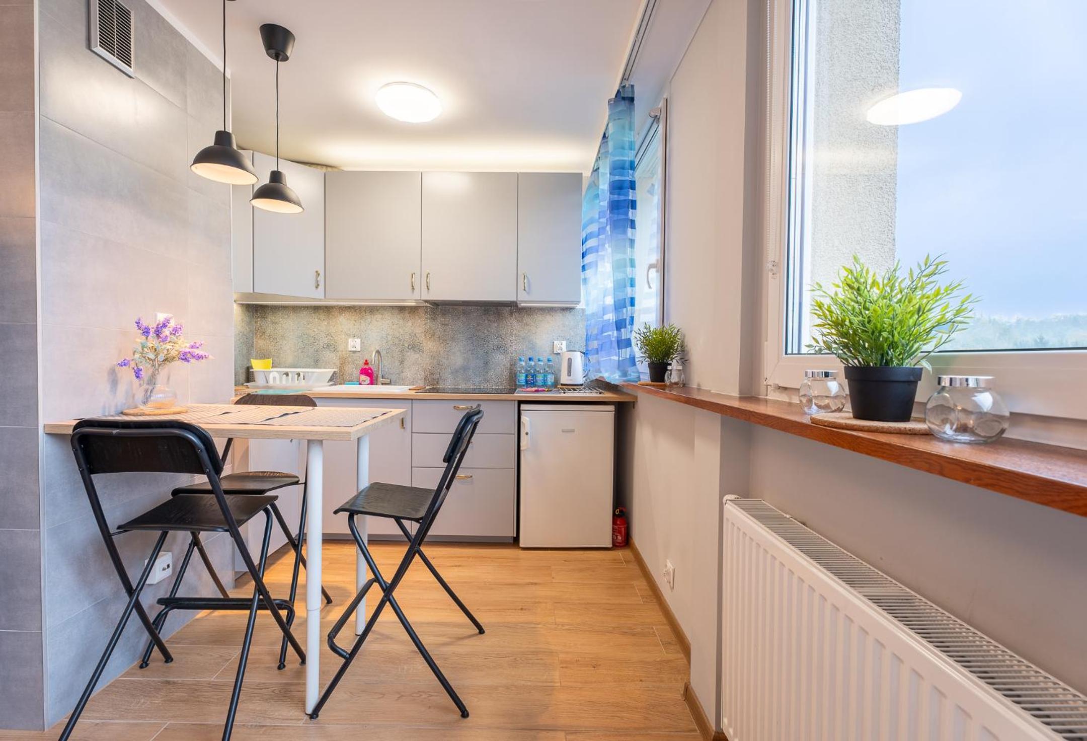 One-Bedroom Apartment