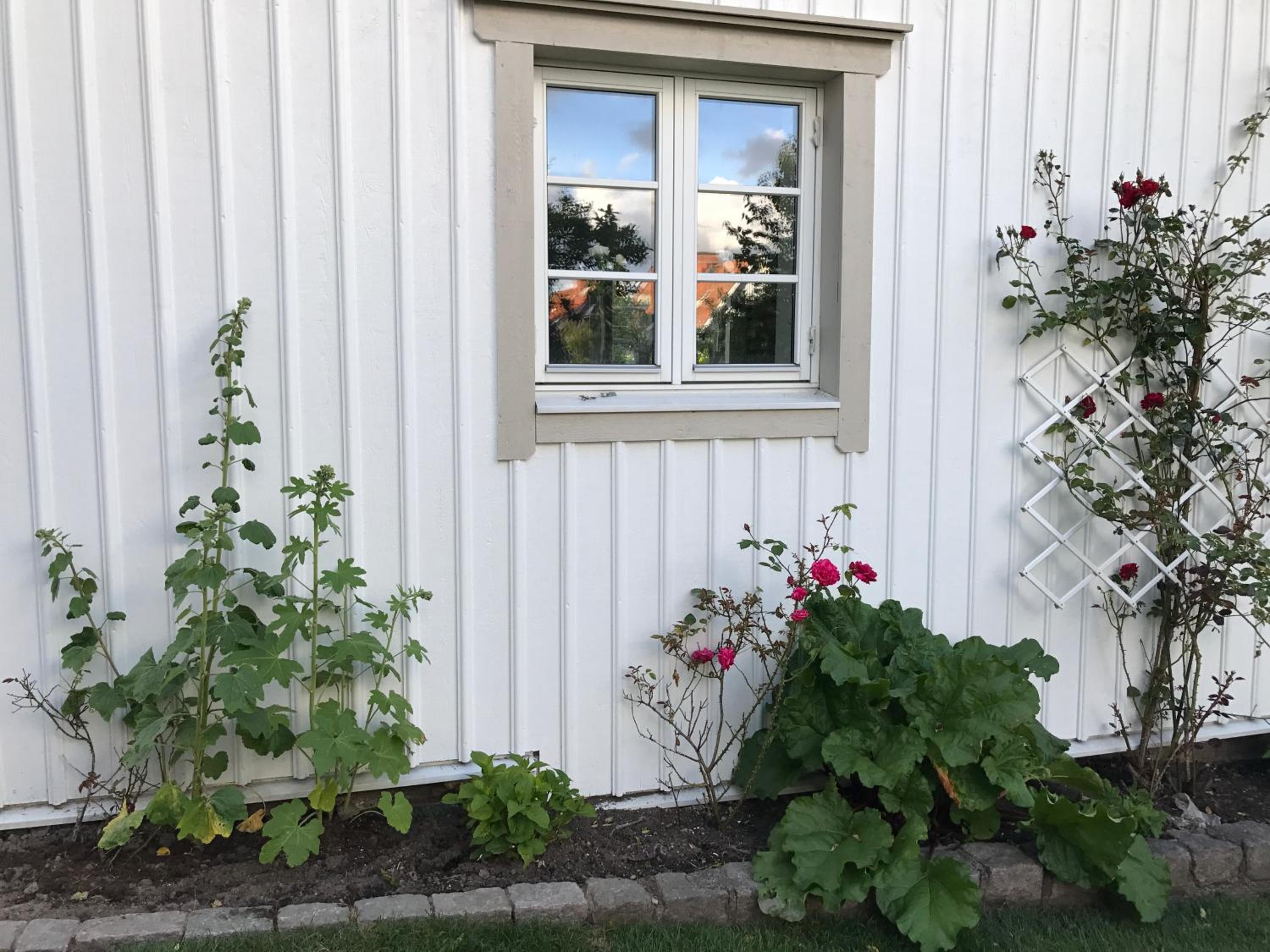 Villa - Photo 15