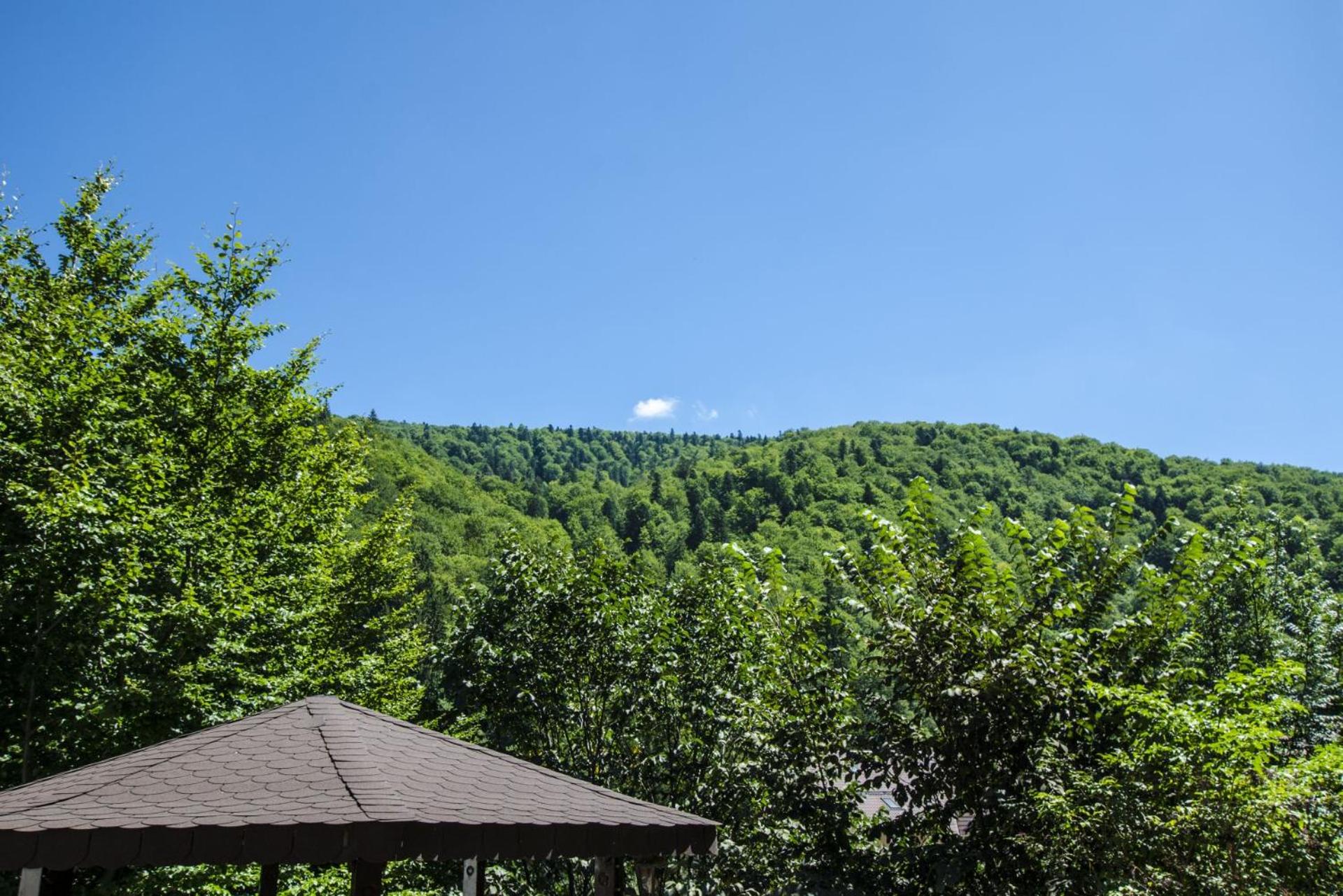 Double Room with Garden View - Photo 7