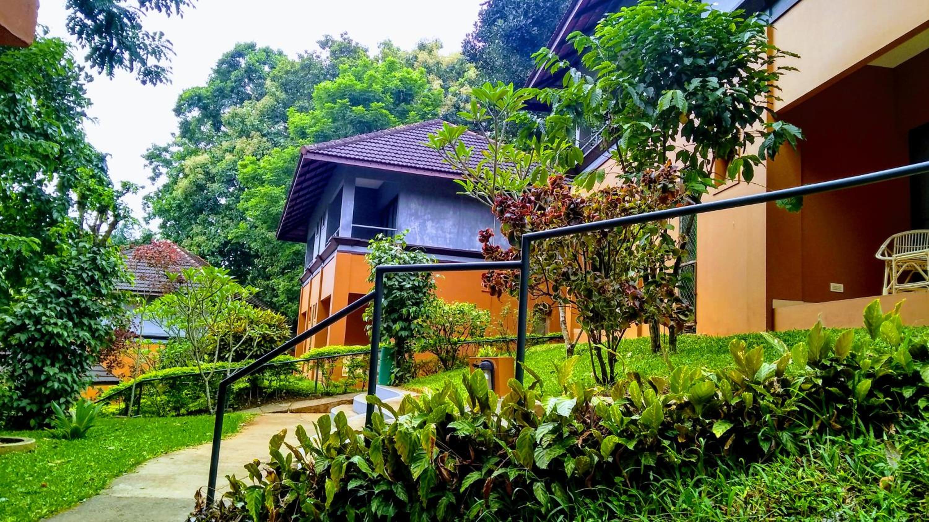 AC Jungle Cottage - Photo 8