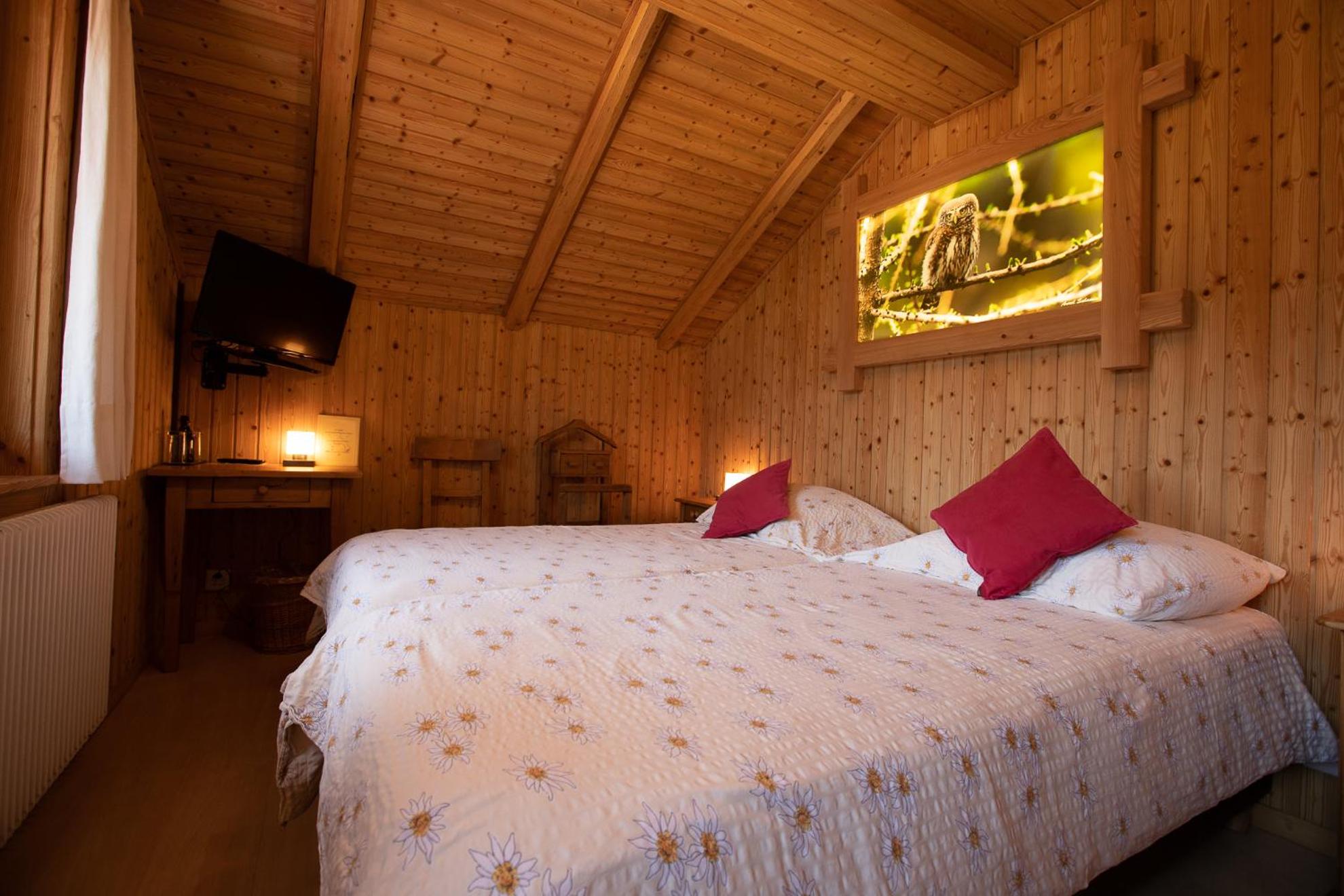 Twin Room photo 3