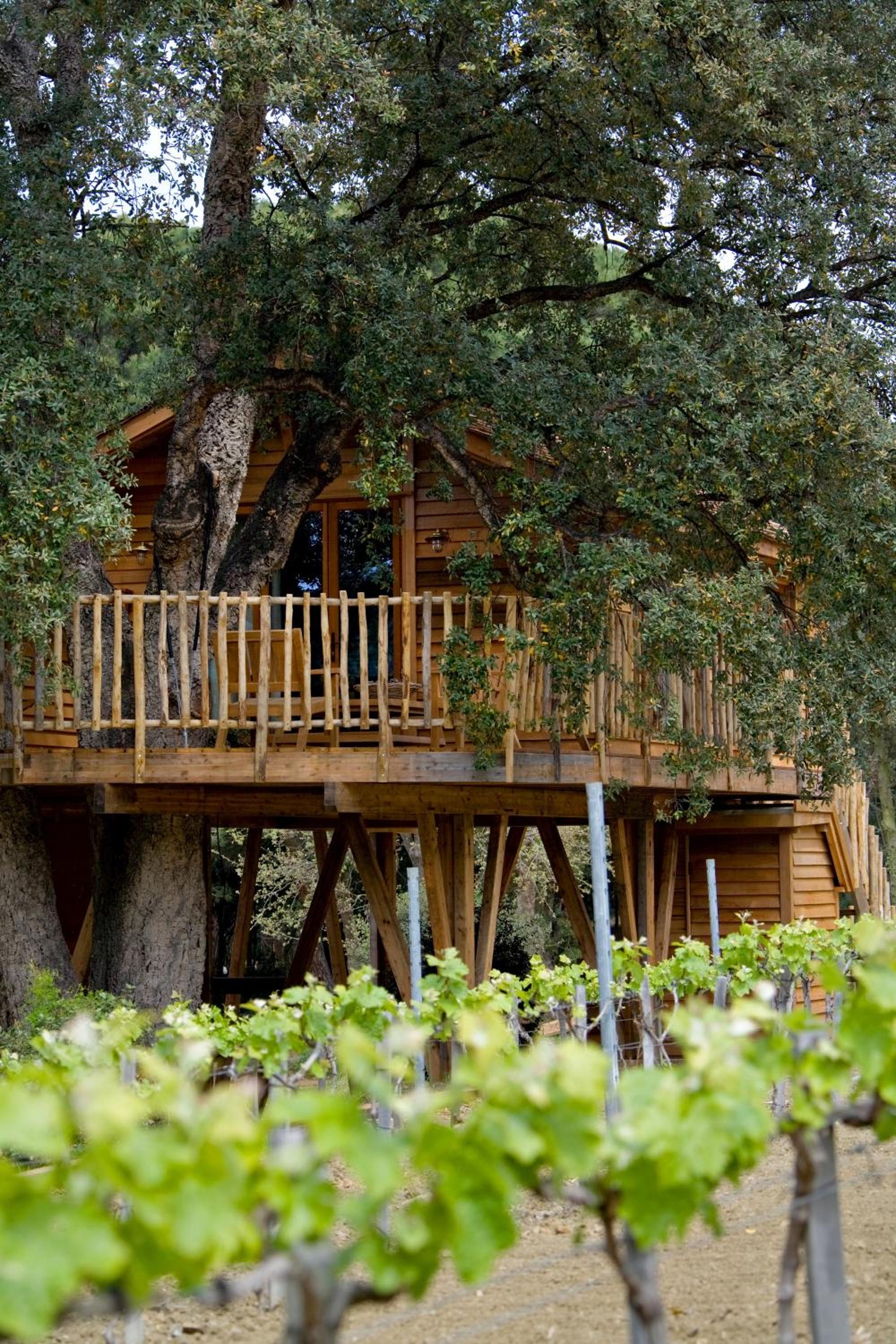 Family Tree House (2 adults + 2 children) - Free Access to Spa and Private Beach photo 2