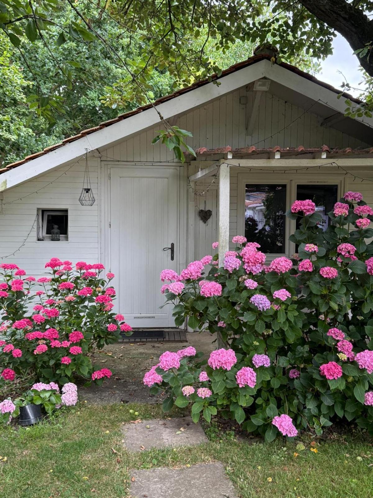 Double or Twin Room with Garden View