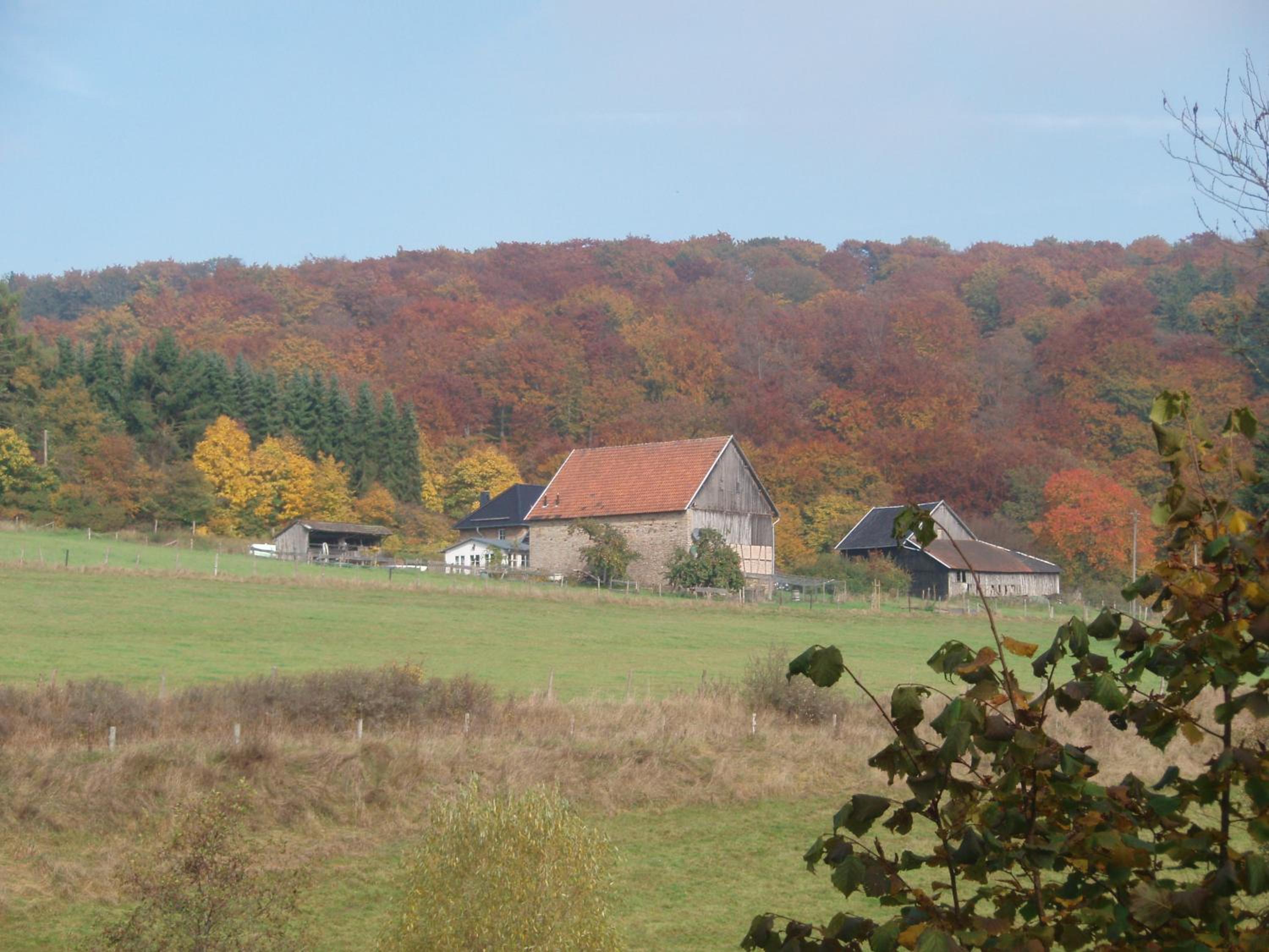 Vacation Home photo 3