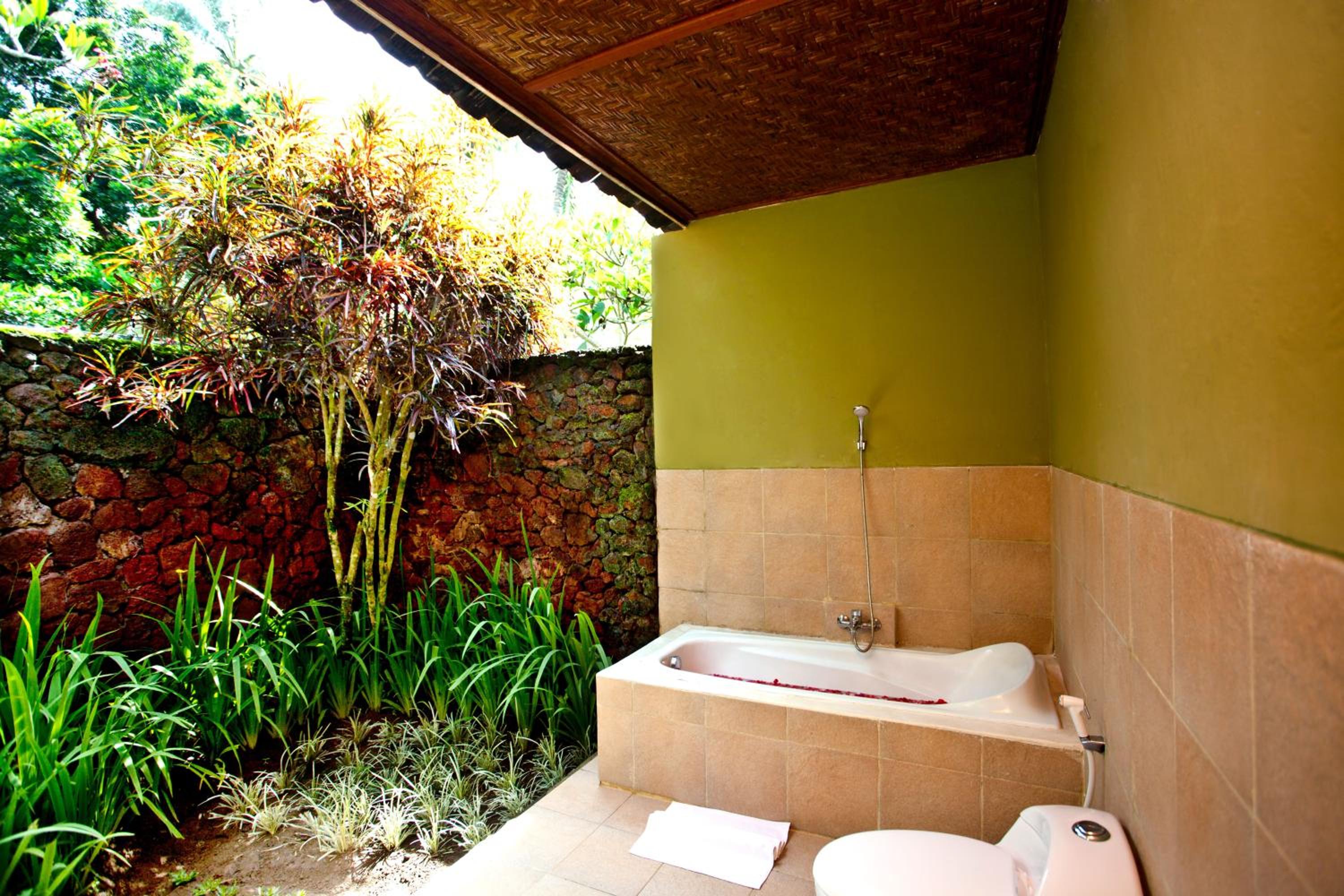 Deluxe Double or Twin Room photo 3