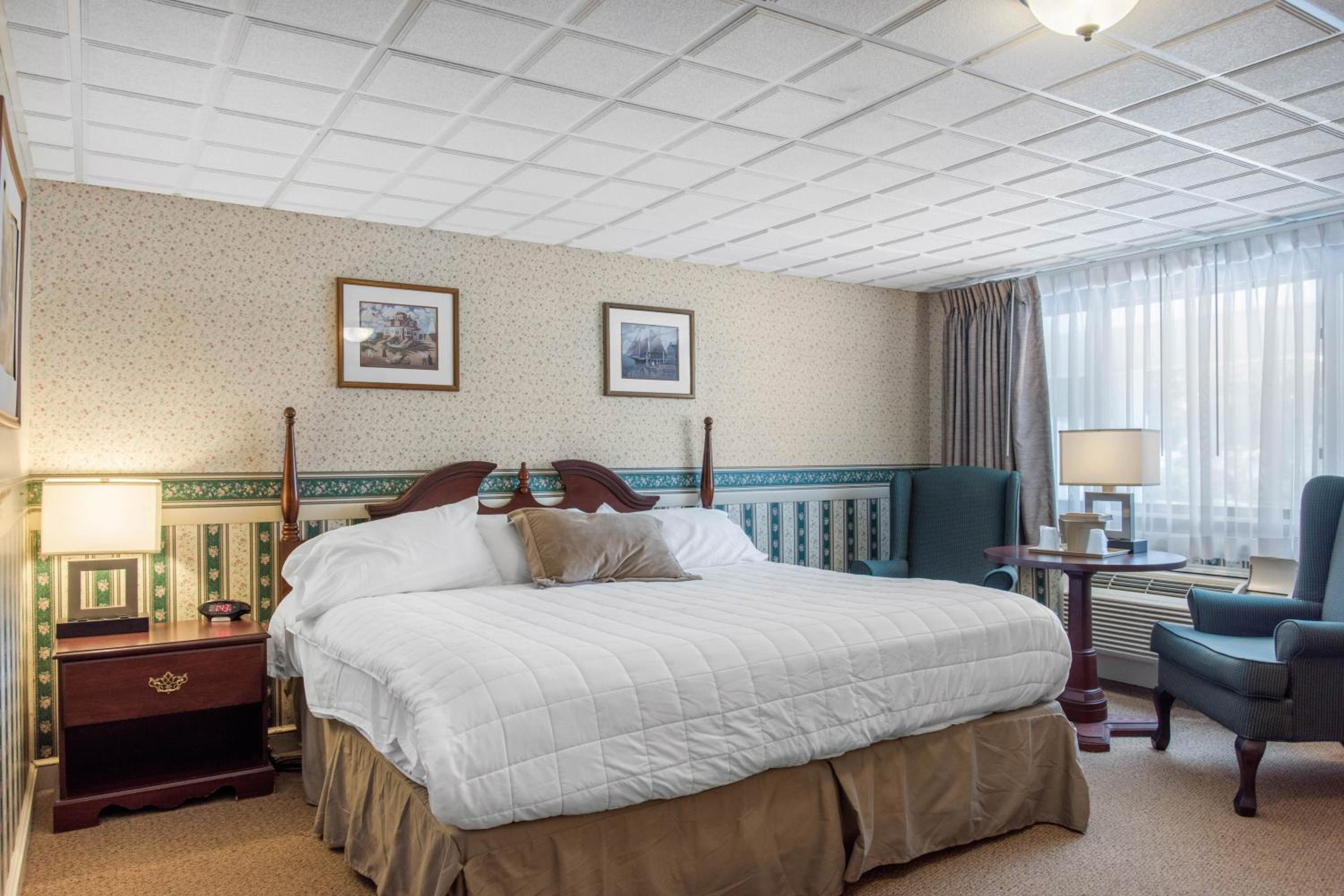 King Room - Disability Access photo 2