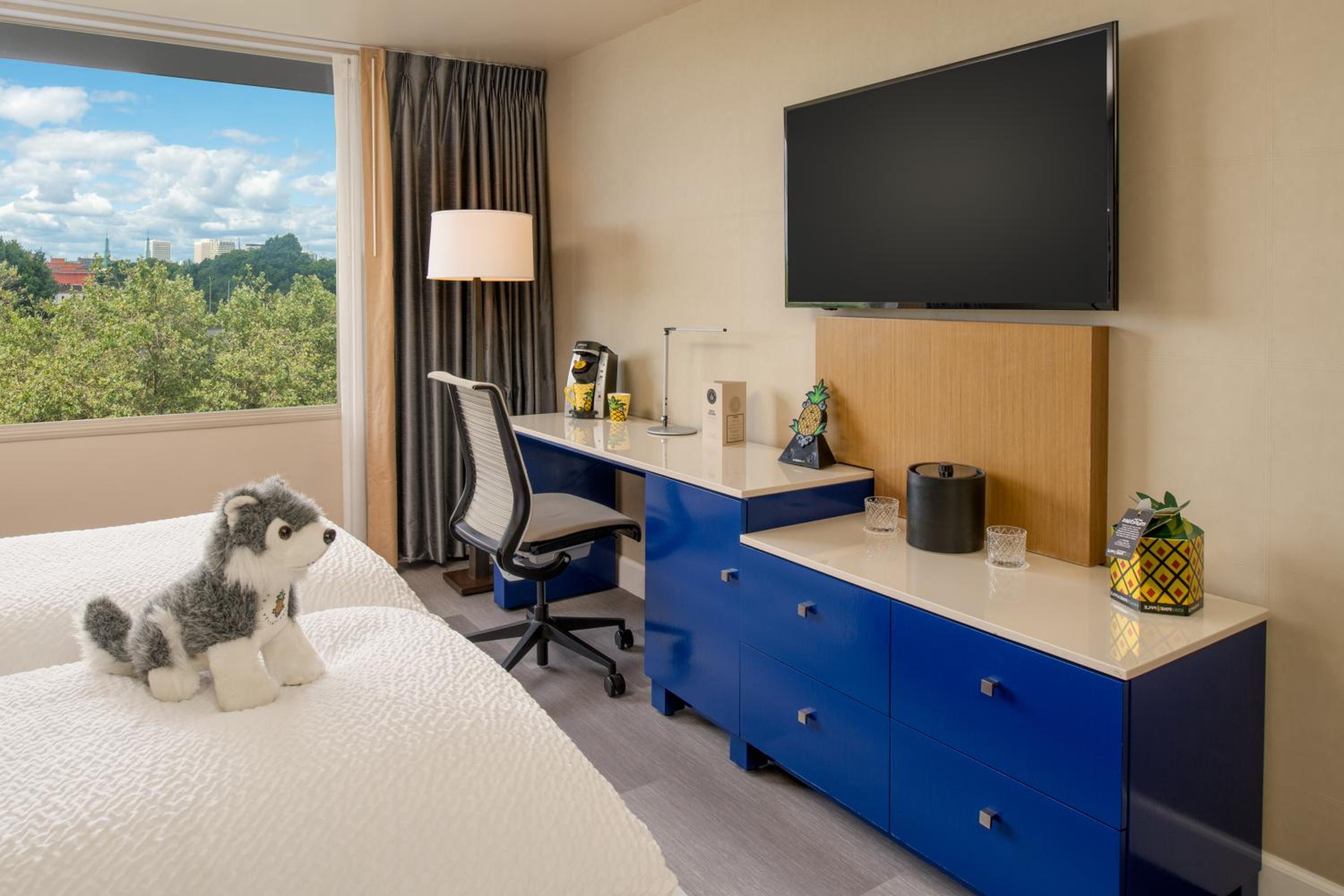 Metro View King Mobility Accessible w/Tub & Communication Features