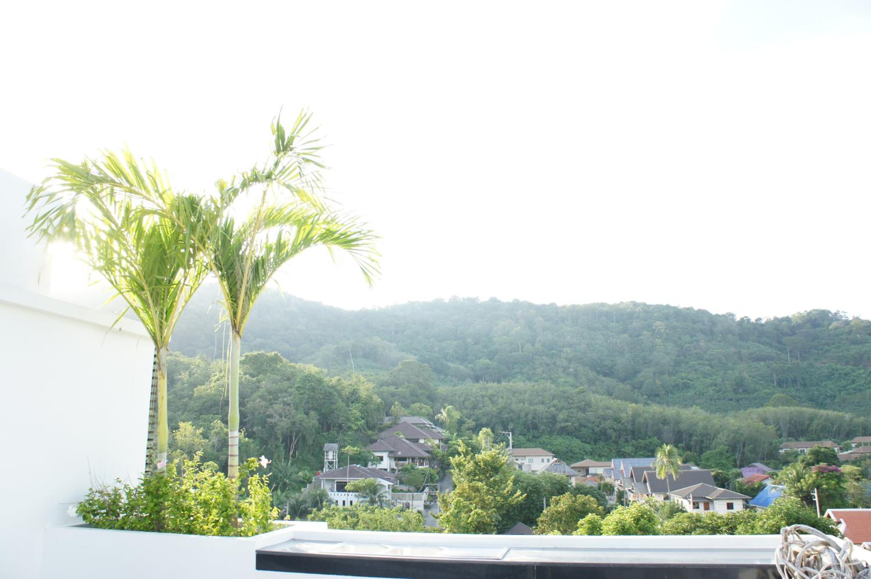 One-Bedroom Villa with Private Pool photo 2