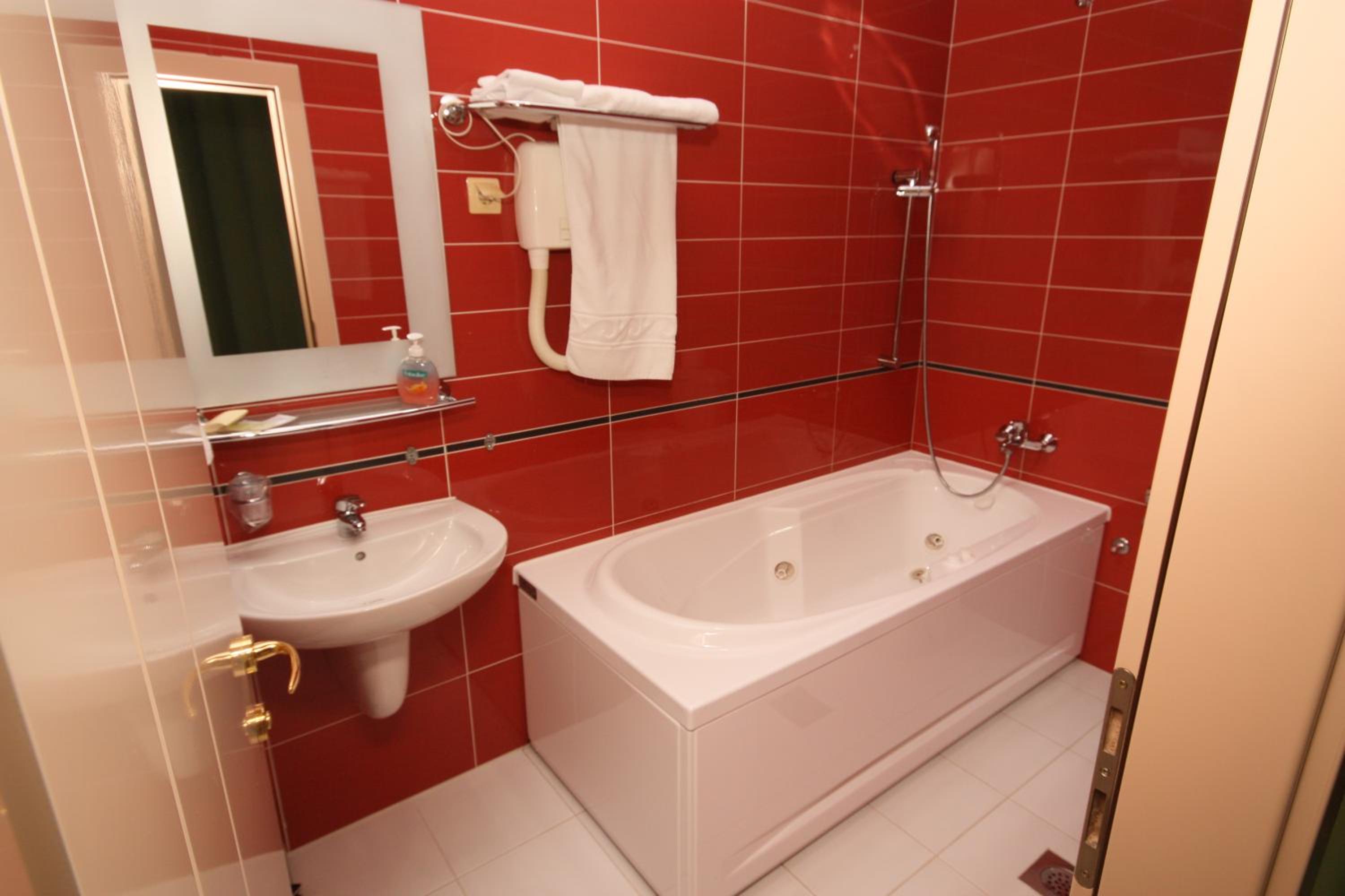 One-Bedroom Suite - Photo 9