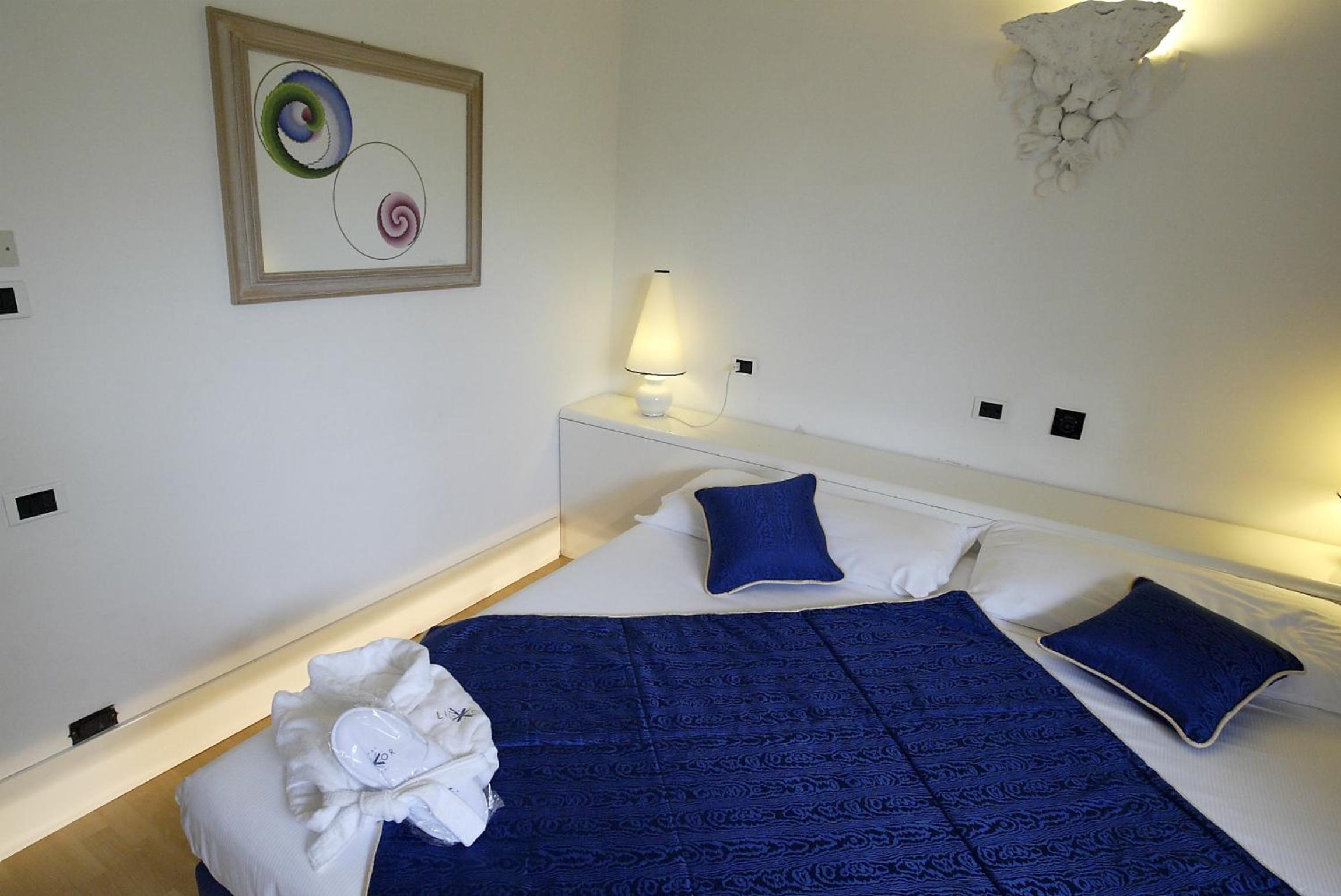 Superior Double or Twin Room - Photo 1