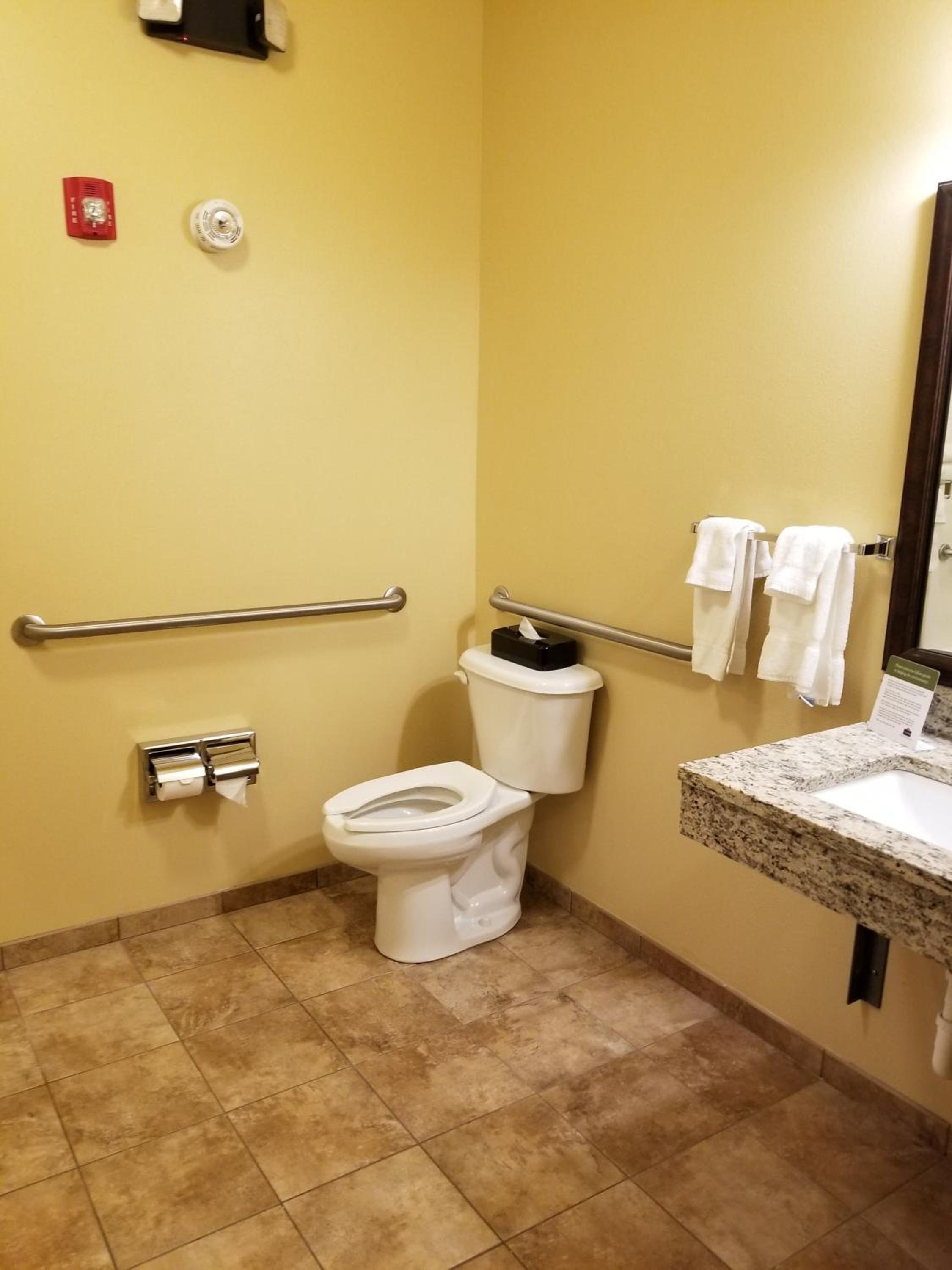 Deluxe Suite with King Bed - Mobility Access/Non-Smoking - Photo 9