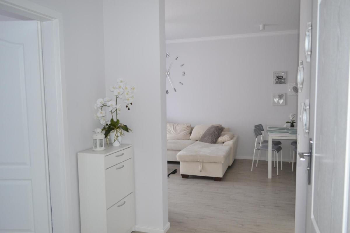 Apartment with Terrace photo 1
