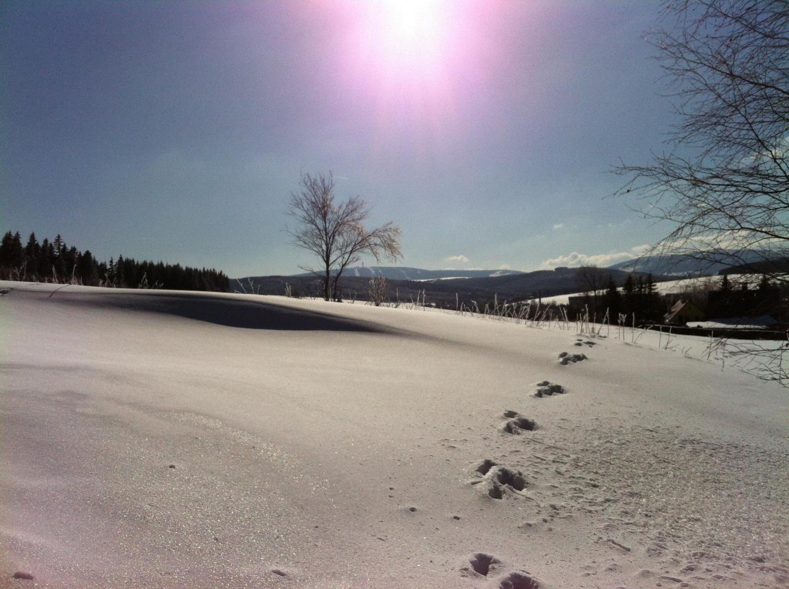 Cottage photo 2