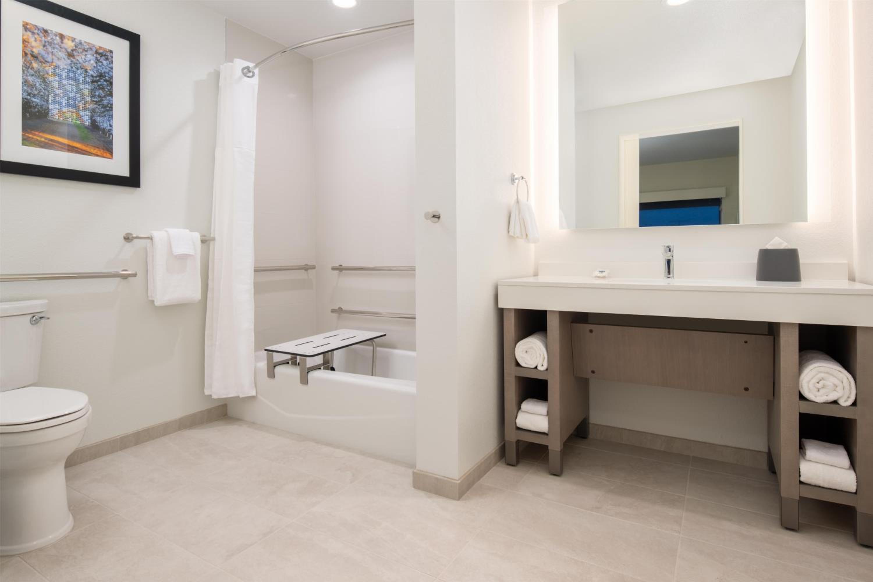 Den Guestroom King Room with Accessible Tub