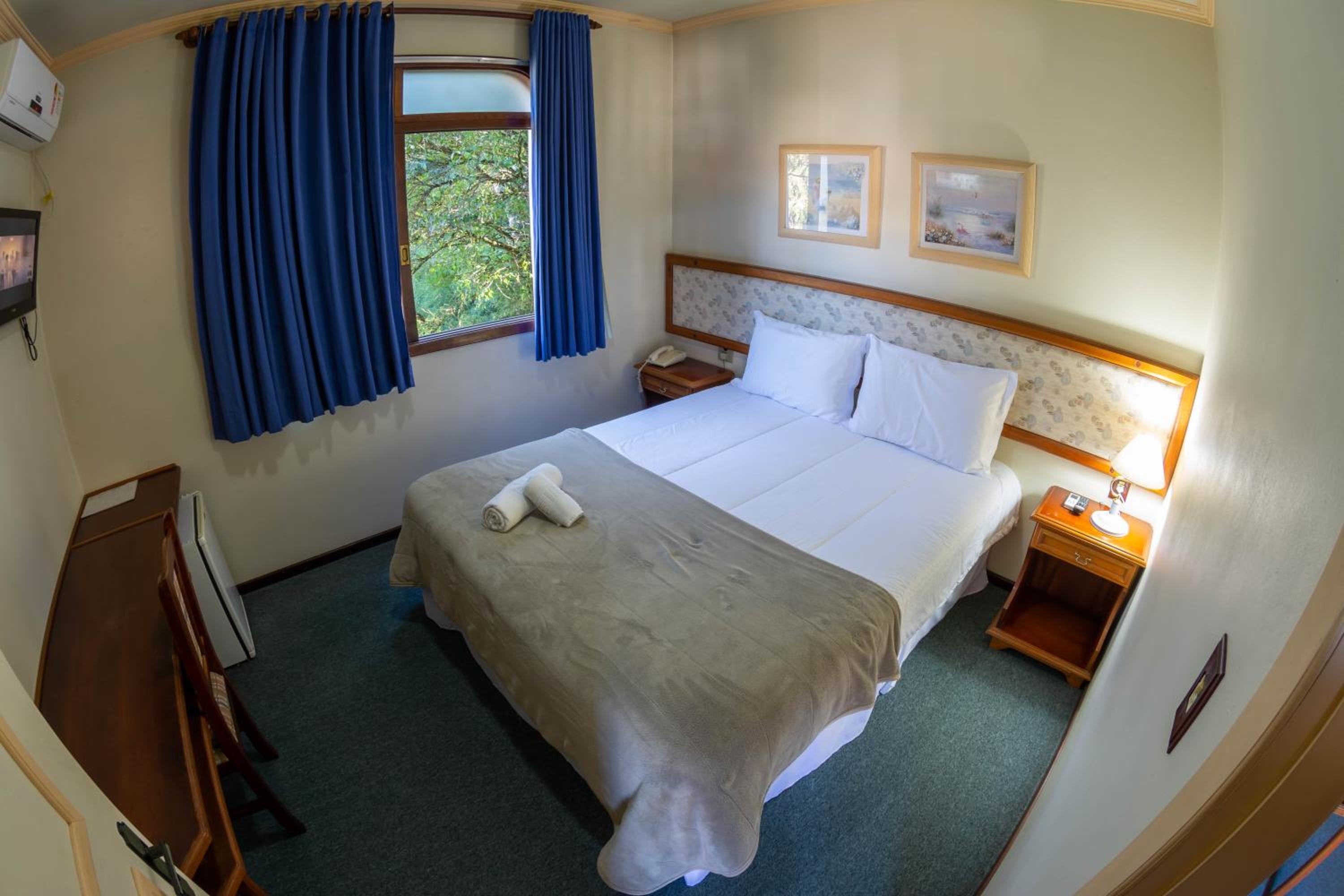 Large Single Room photo 3