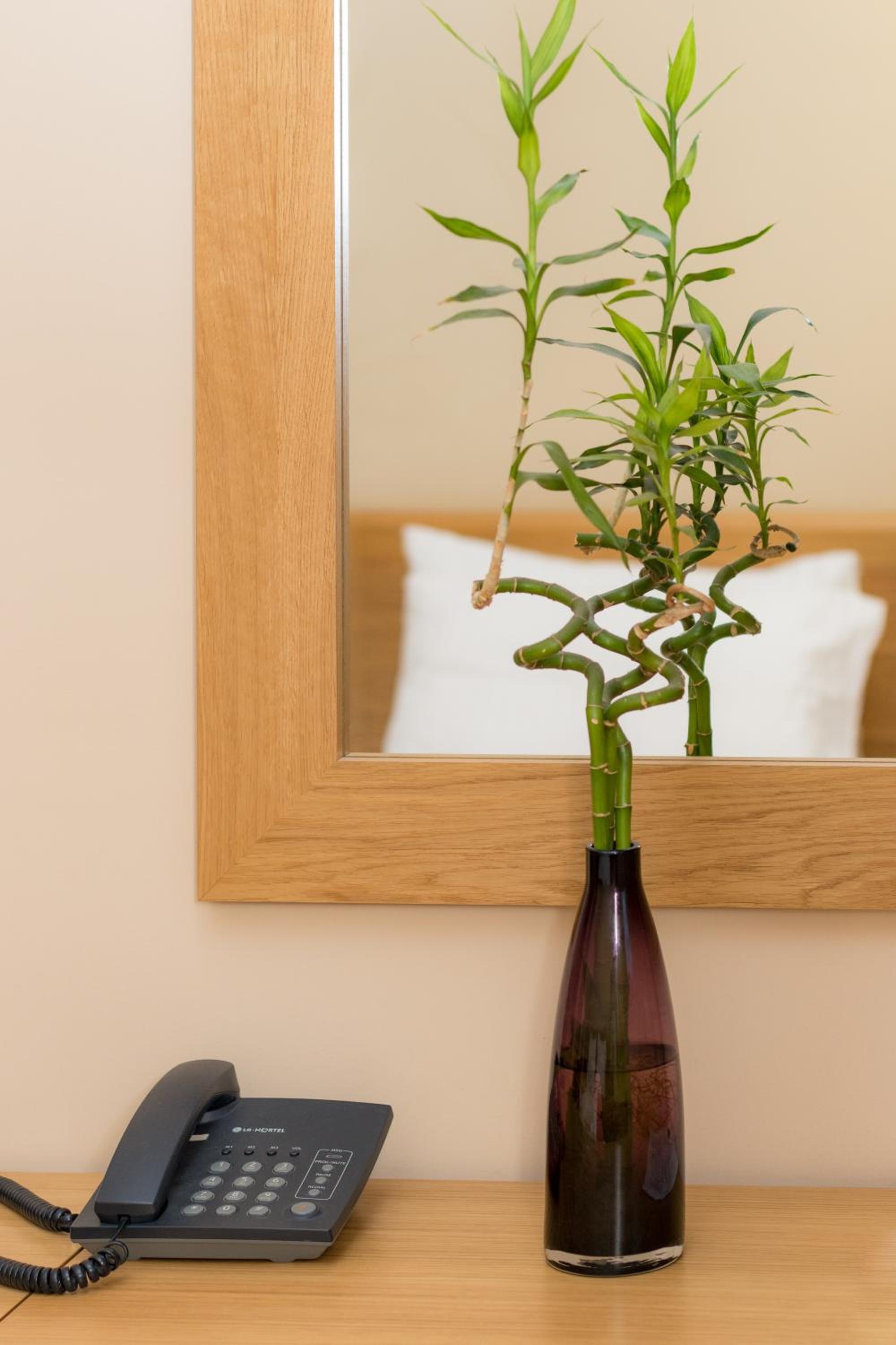 Comfort Single Room photo 1