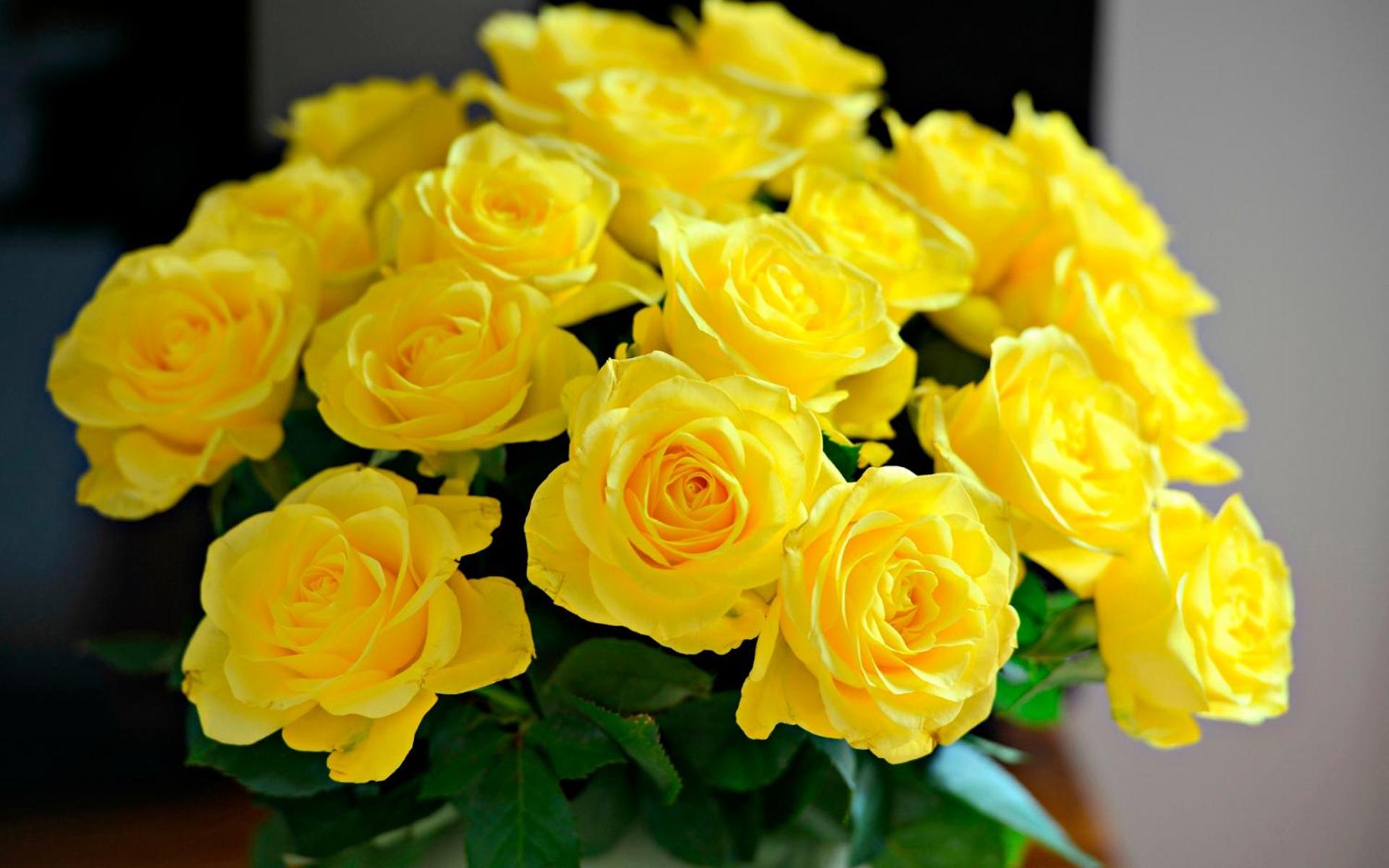 Capture the essence of romance with blooming beauty.