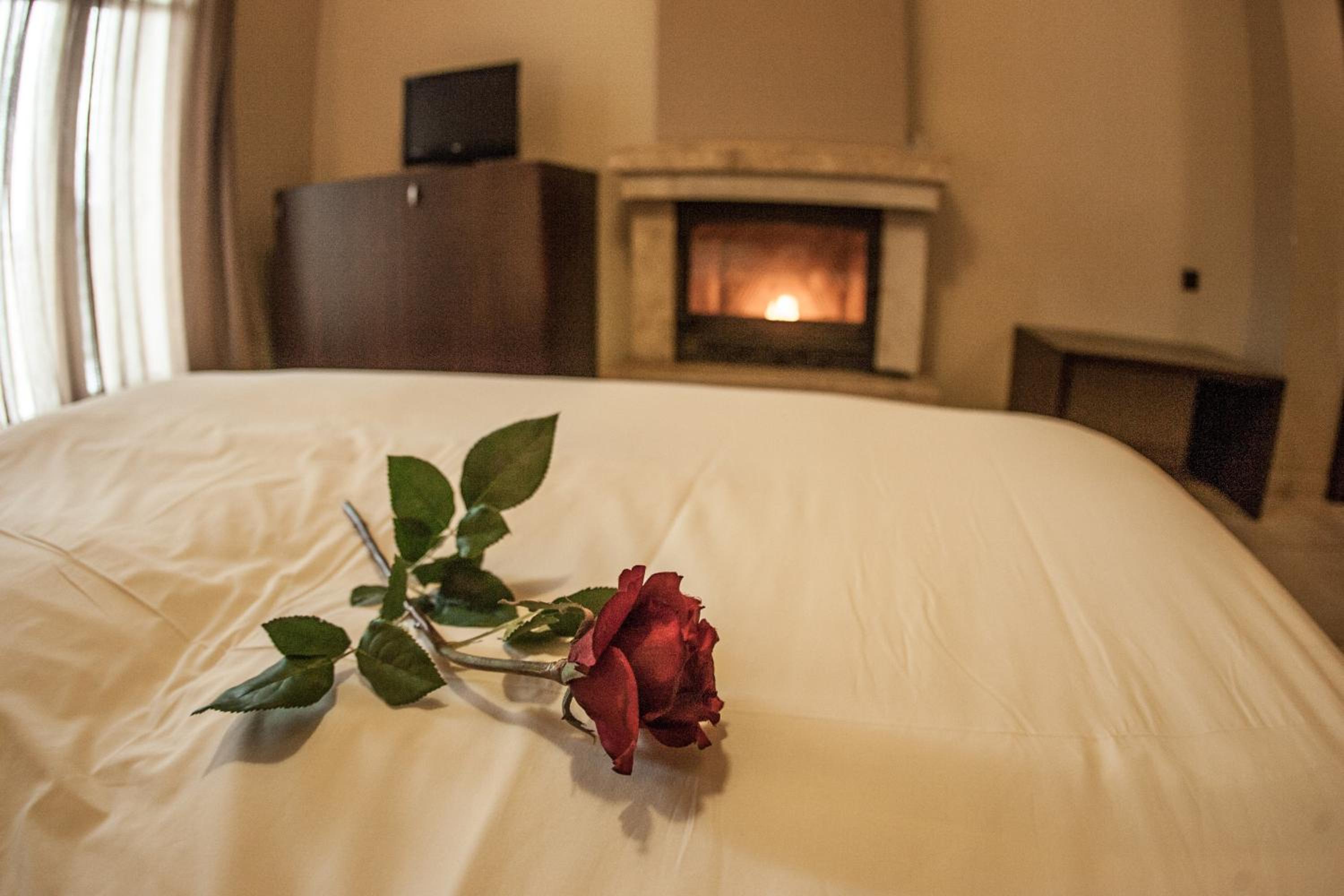 Double or Twin Room with Fireplace photo 3