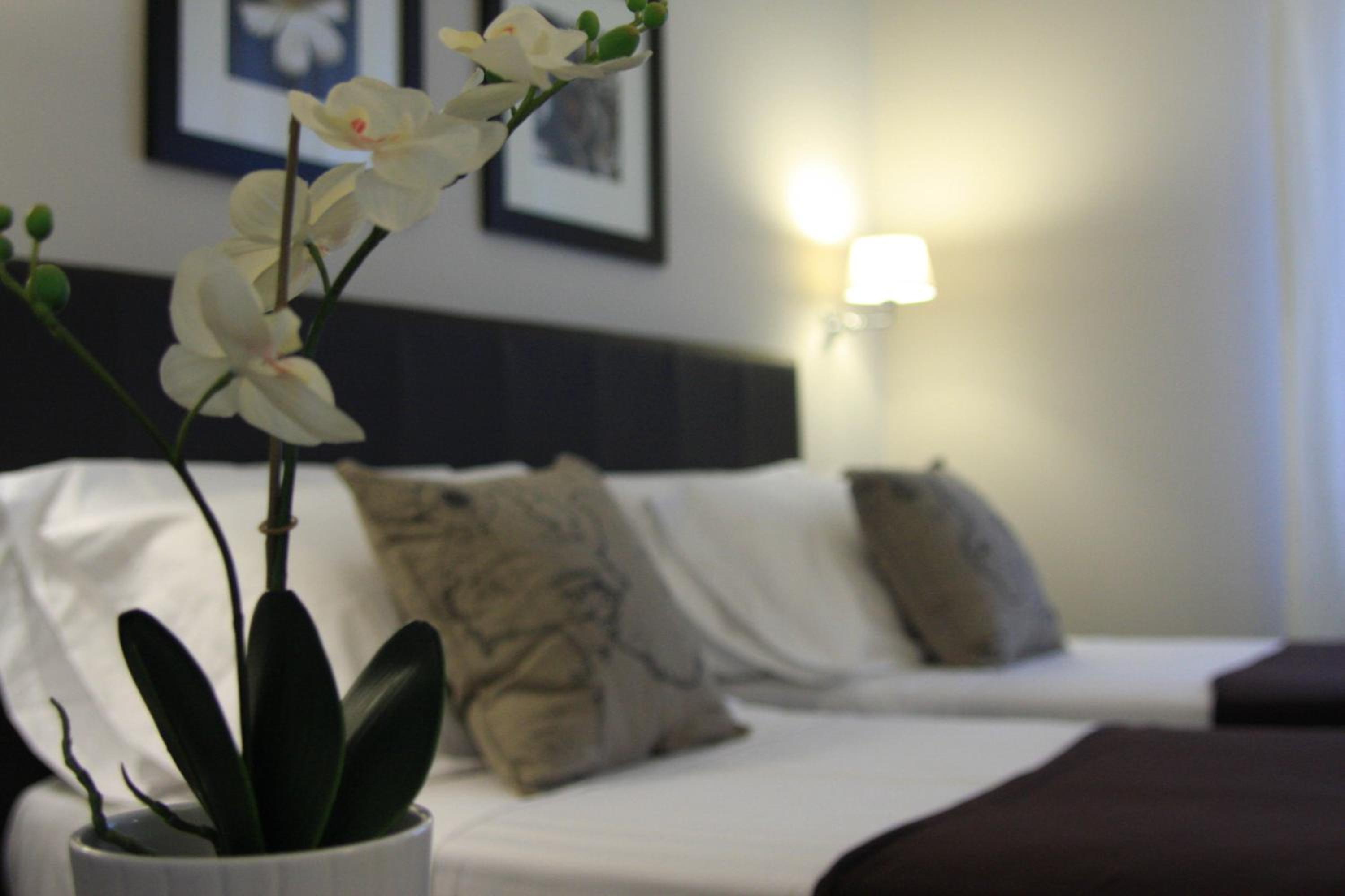 Standard Twin Room photo 2