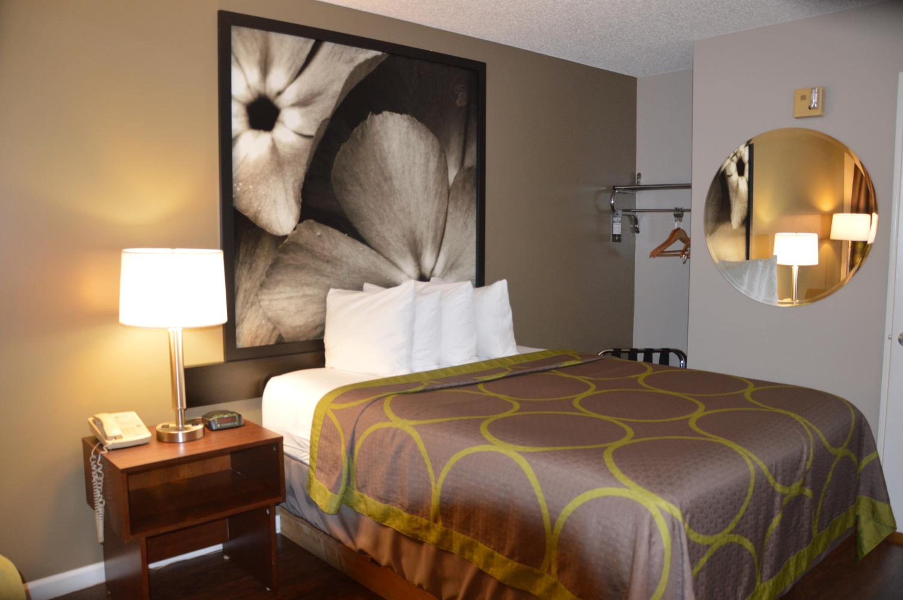 Queen Room - Disability Access/Non-Smoking - Photo 1