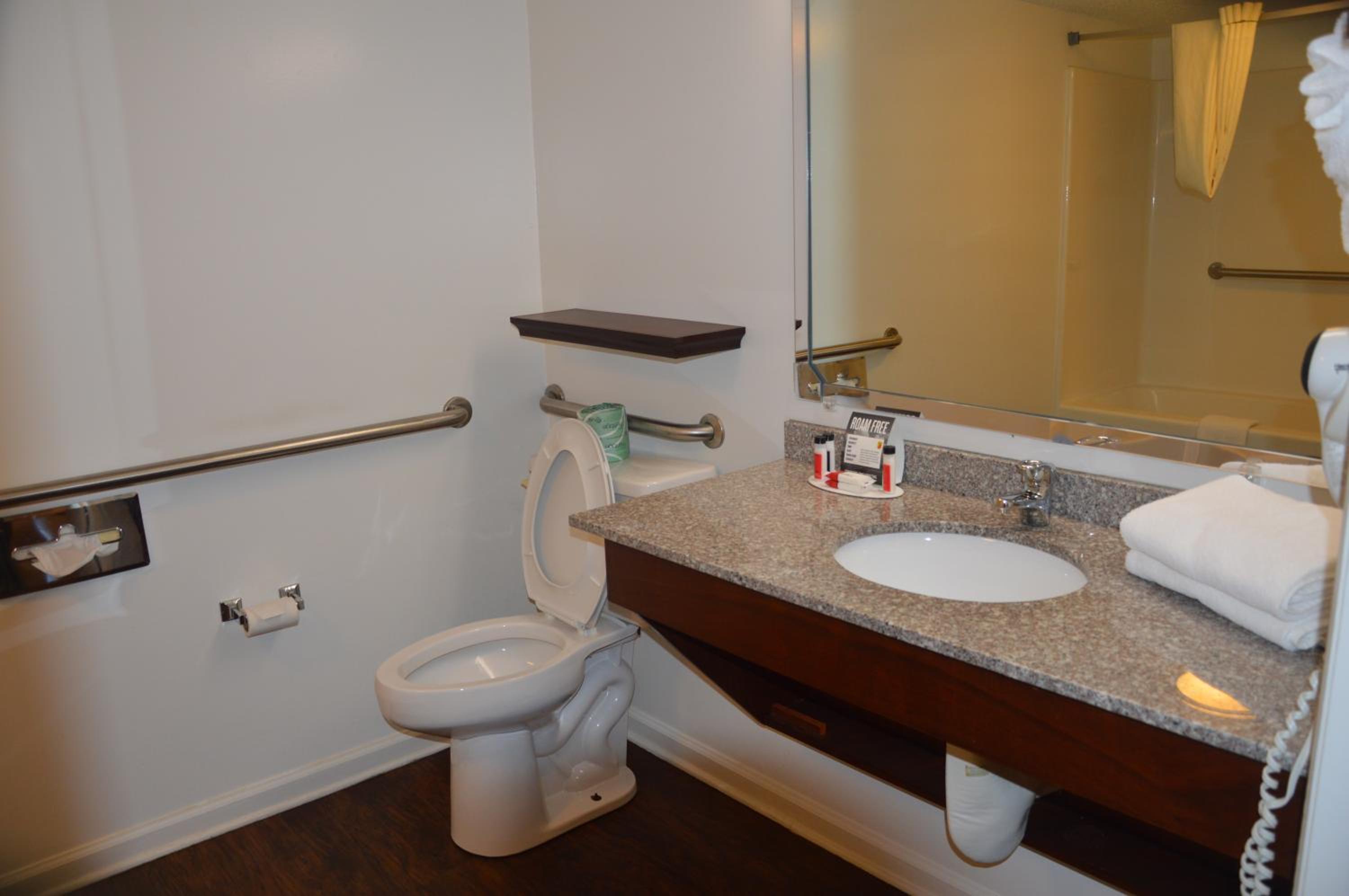 Queen Room - Disability Access/Non-Smoking - Photo 4