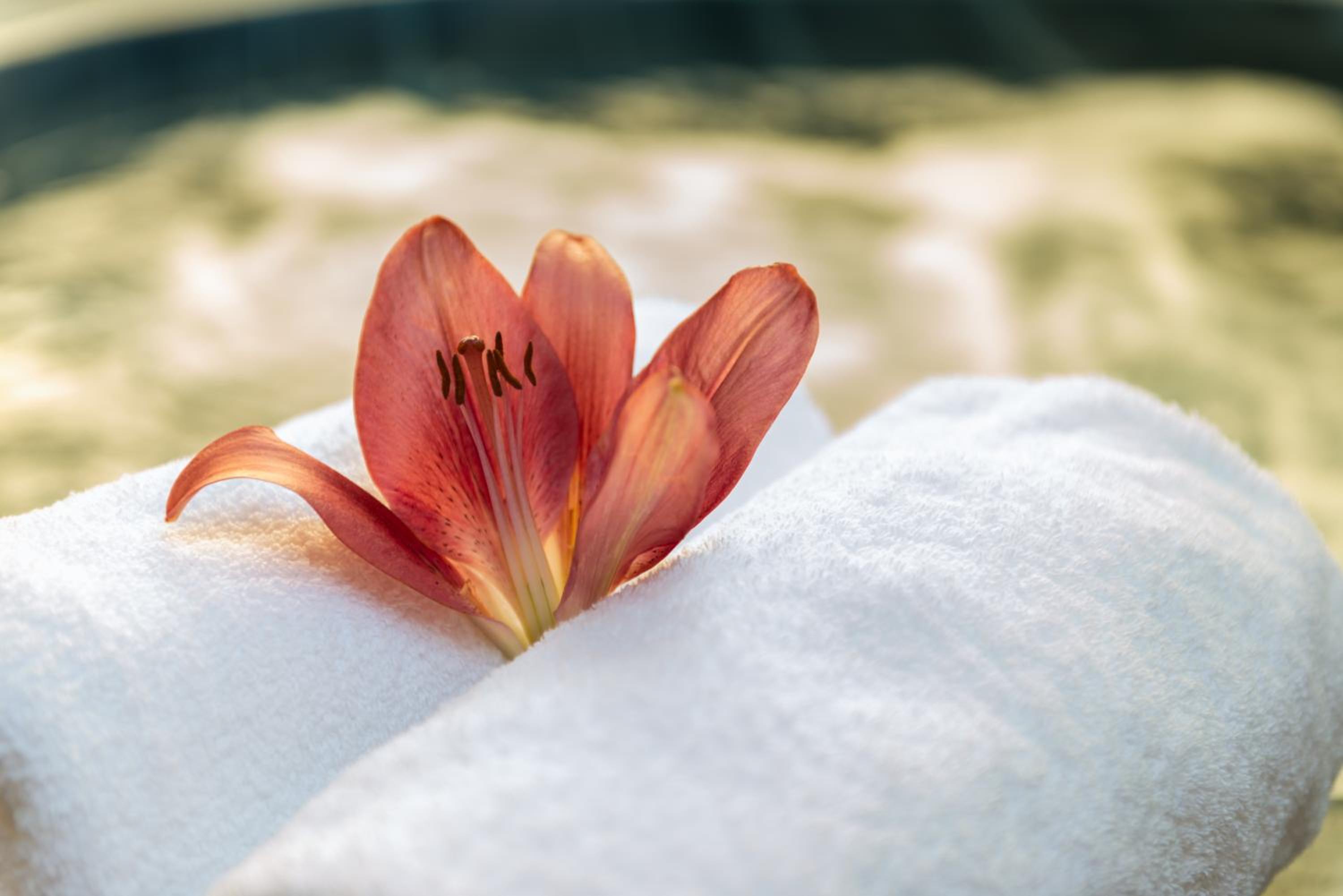 Deluxe Spa 1 King – with Club Lounge Access