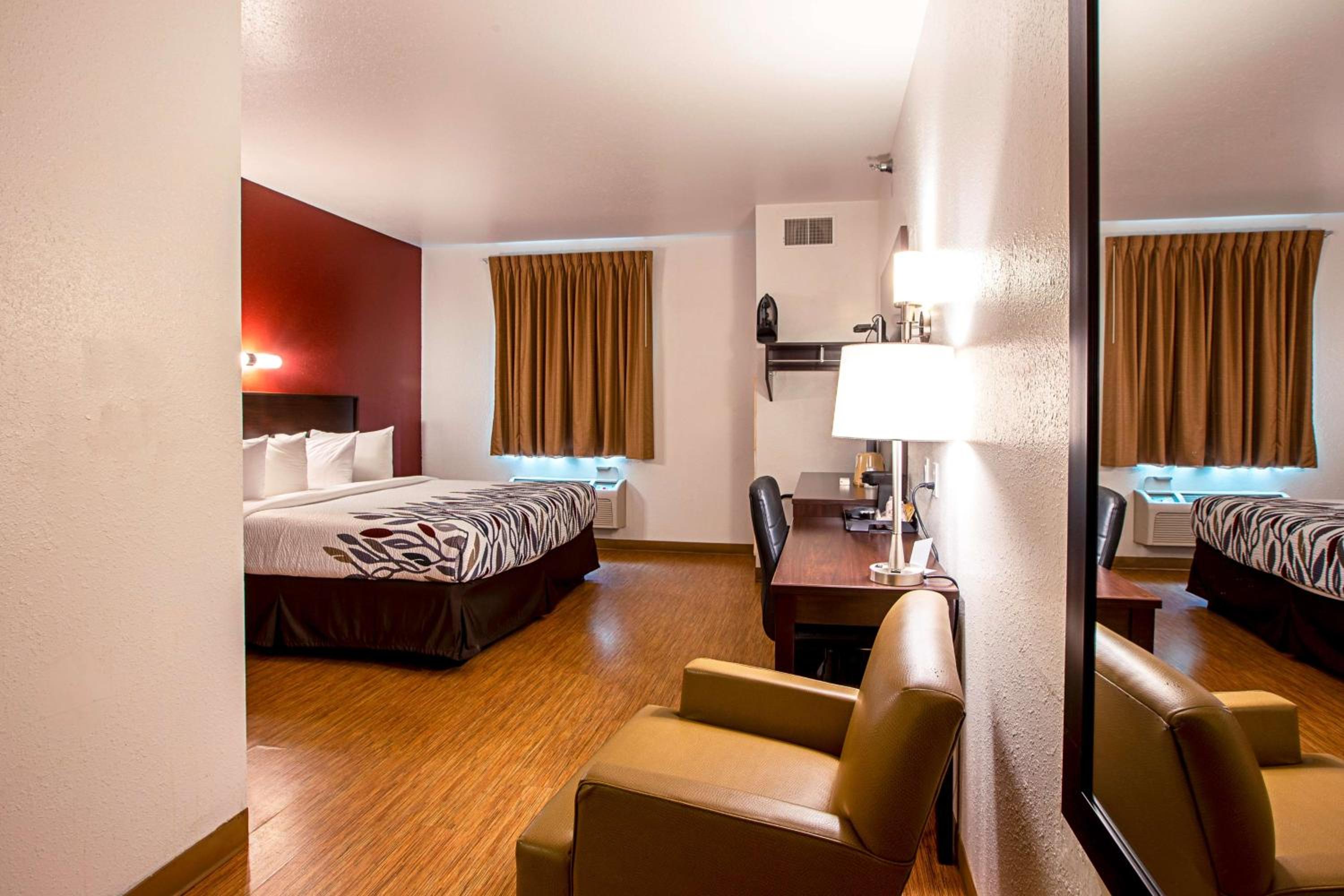 King Room - Disability Access photo 1