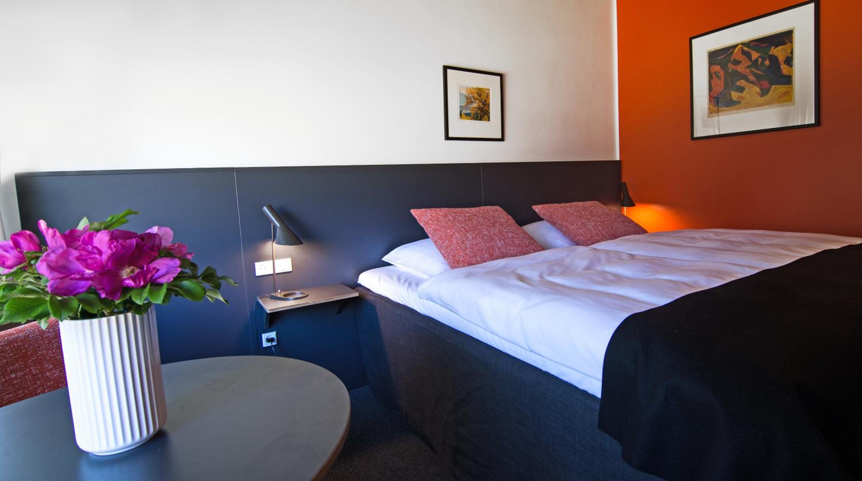 Superior Double Room photo 2