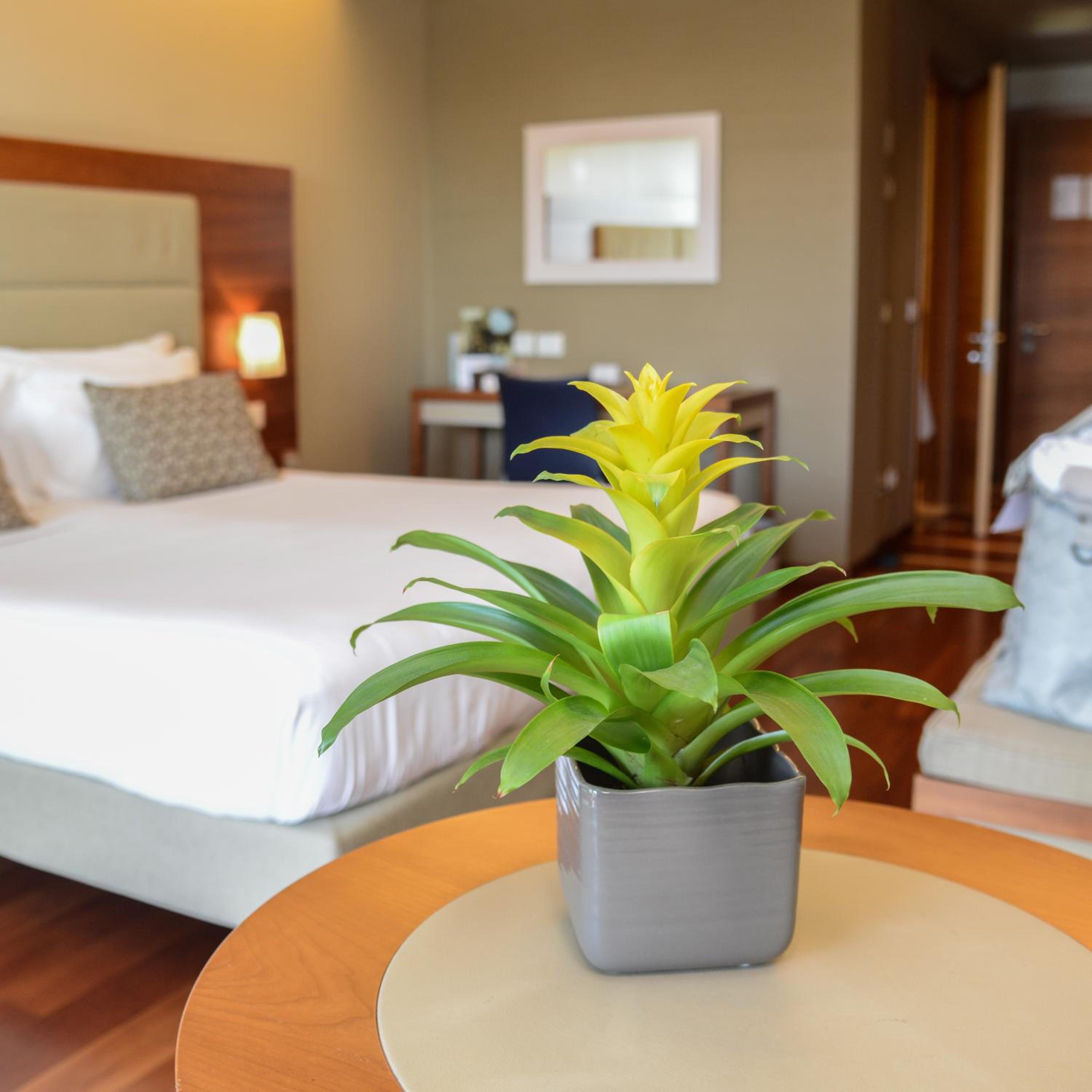 Double Room with Garden View - Photo 1