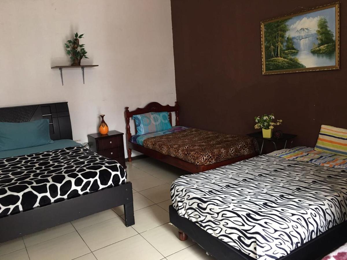 Bed in 4-Bed Dormitory Room photo 3