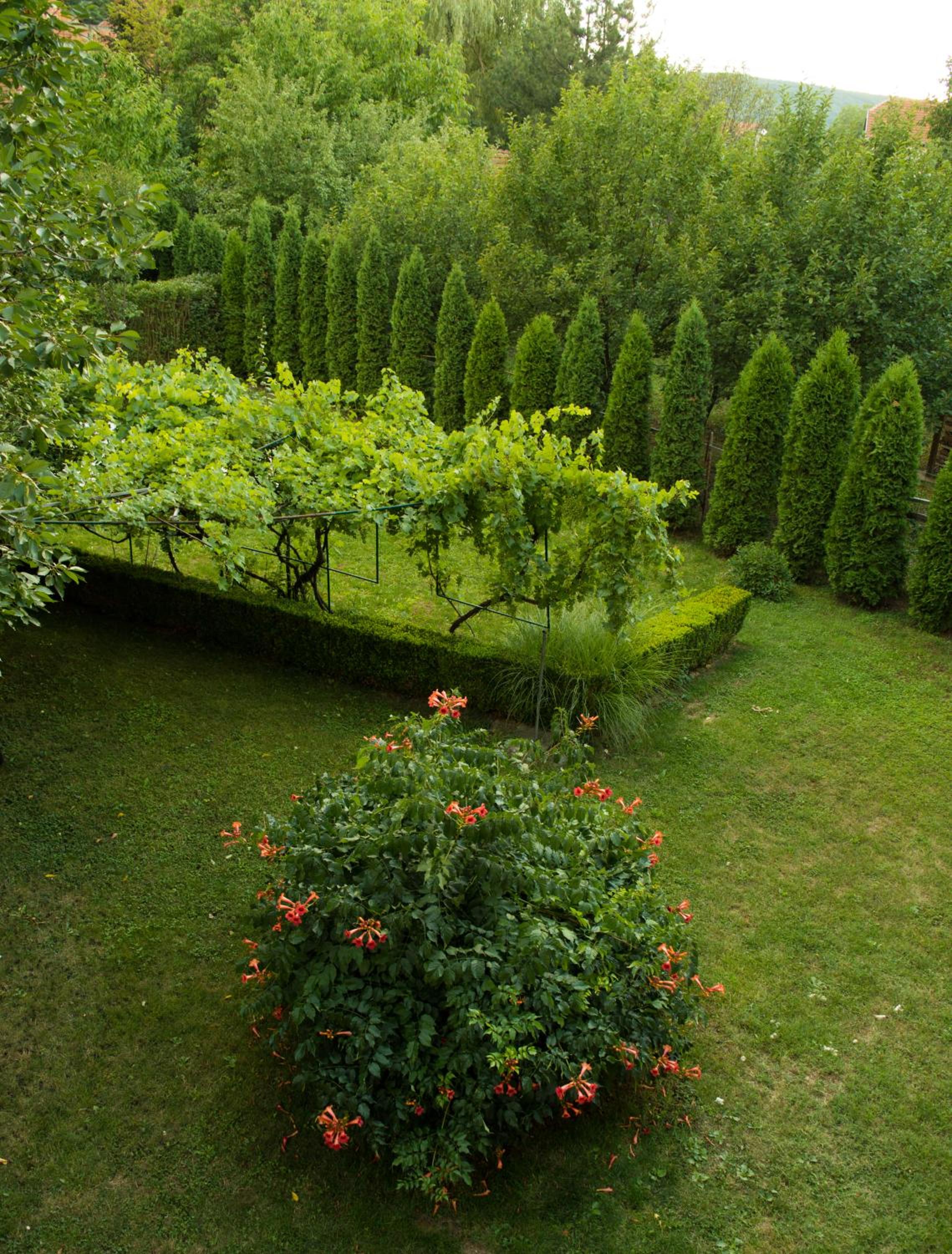 Deluxe Double Room with Balcony photo 2