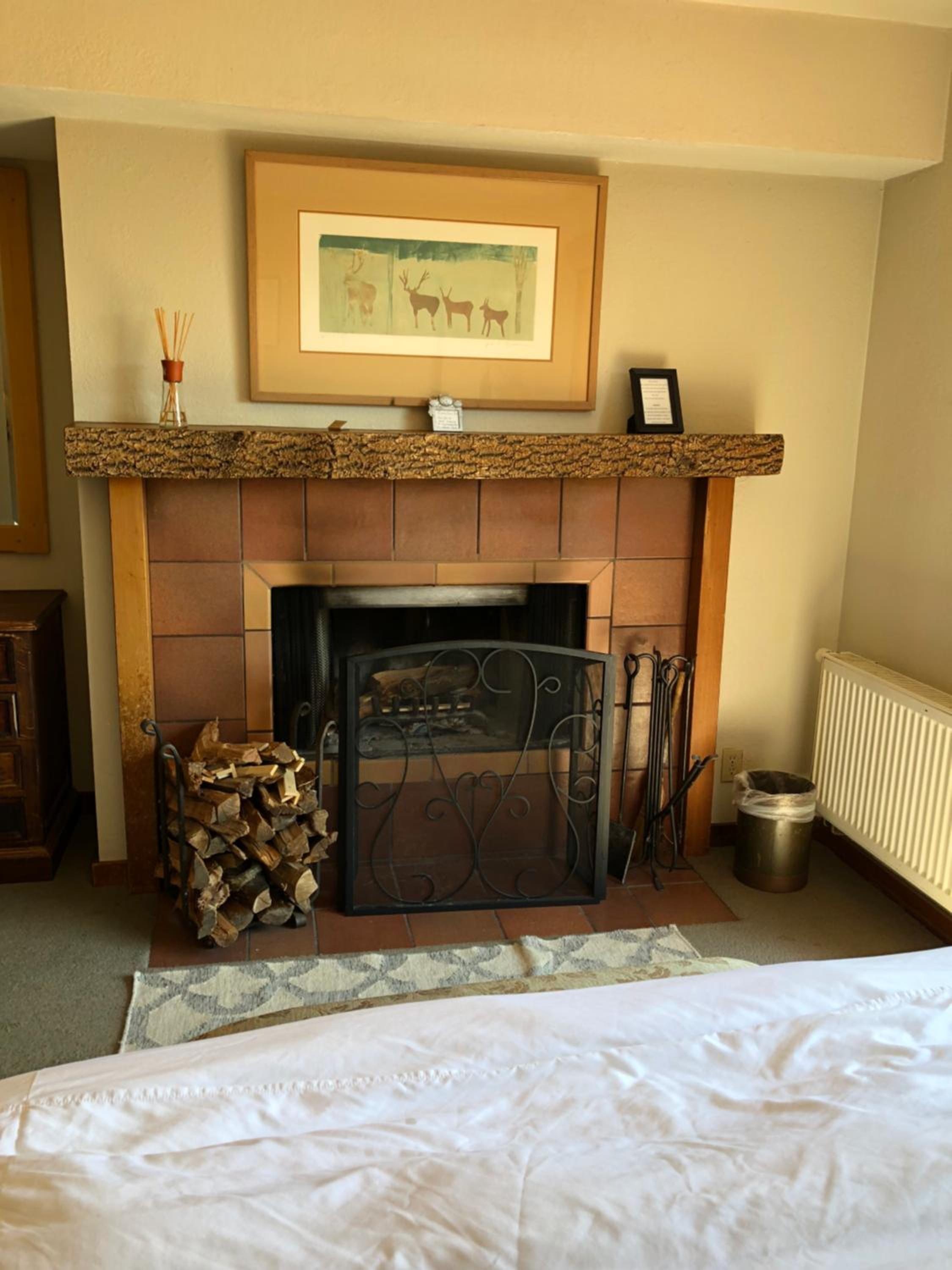 Queen Room with Patio and Fireplace