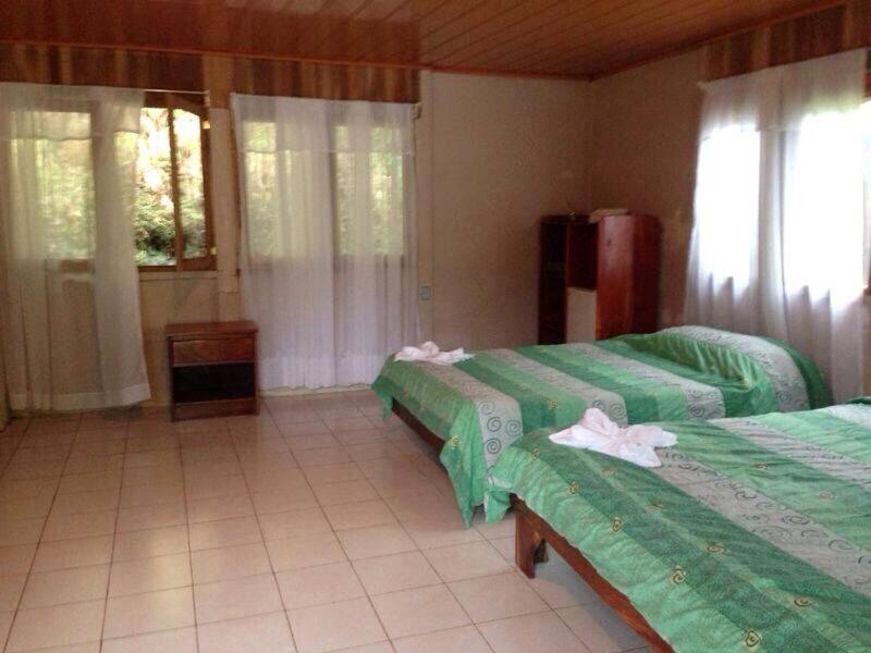 Standard Twin Room with Mountain View