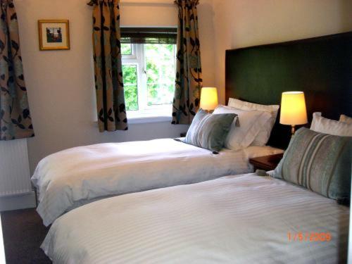Deluxe Double or Twin Room photo 3