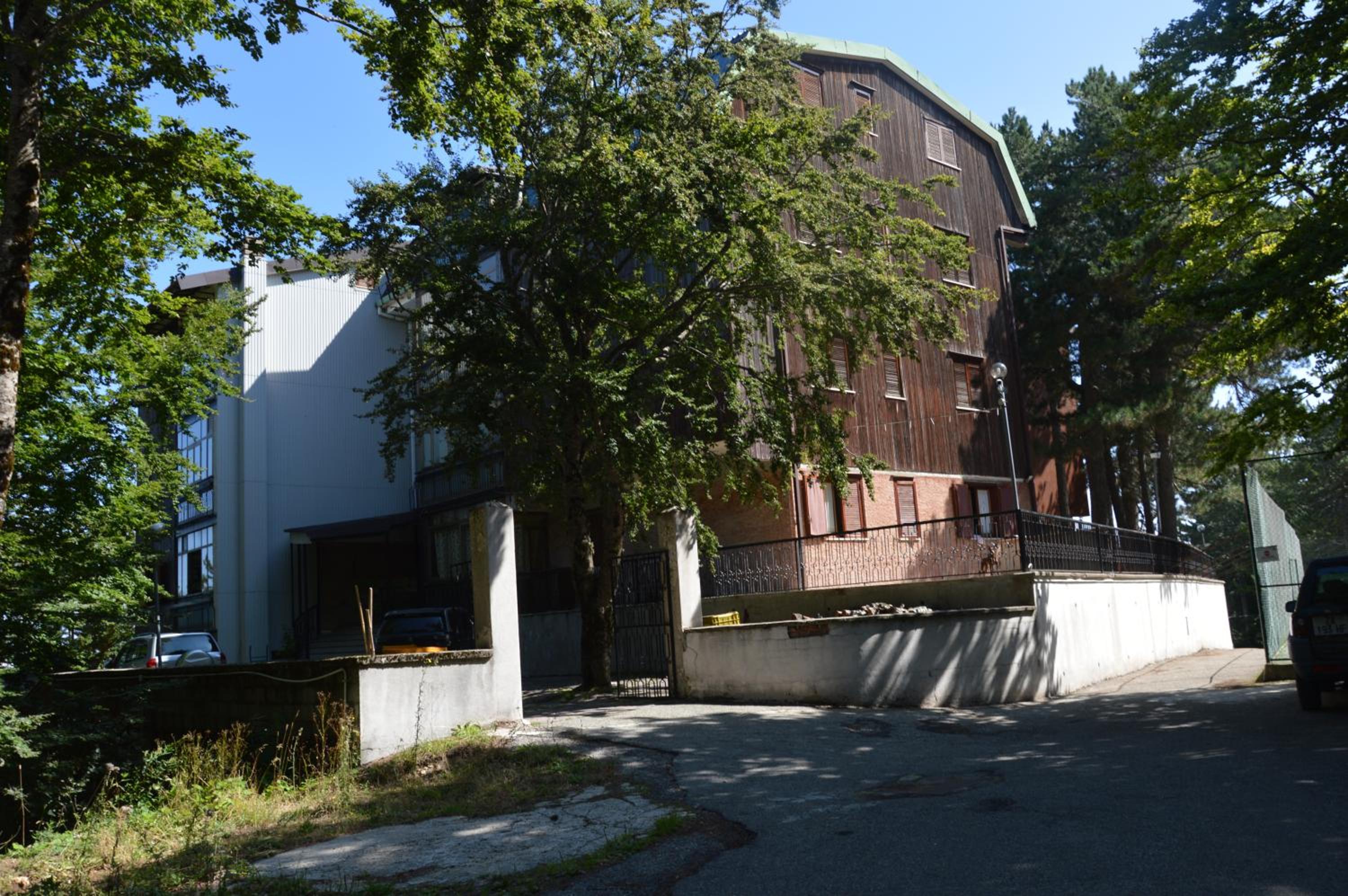 Apartment with Terrace photo 3