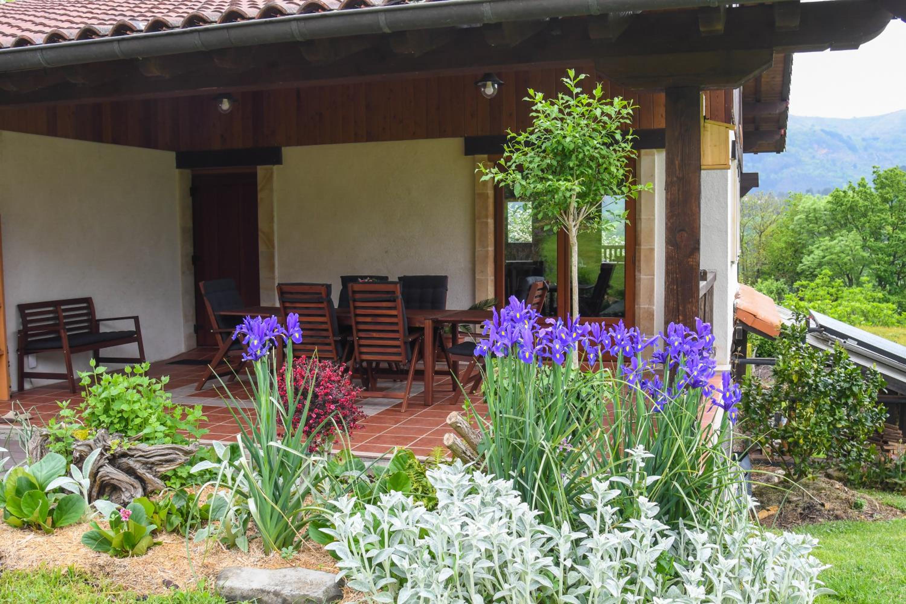 Three-Bedroom House photo 2