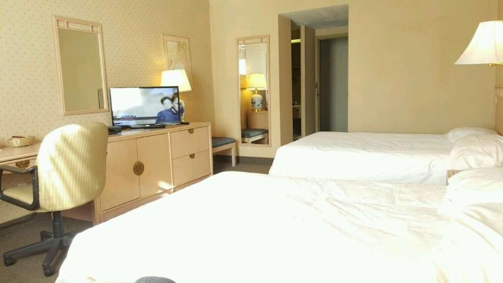 Standard Double Room with Two Double Beds photo 3