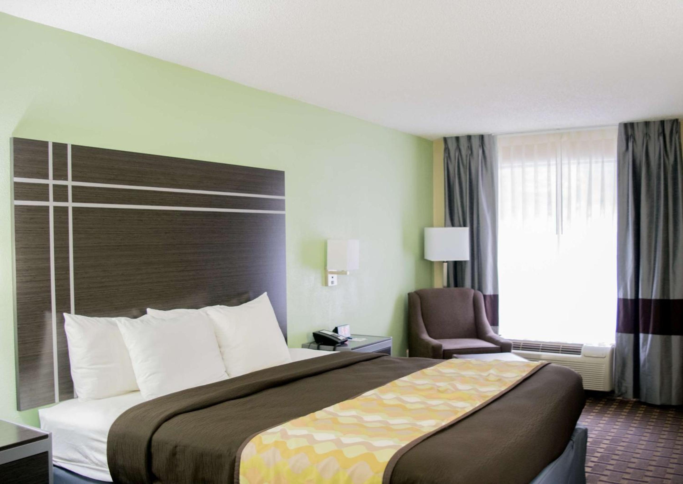 King Room - Pet Friendly/Non-Smoking photo 1