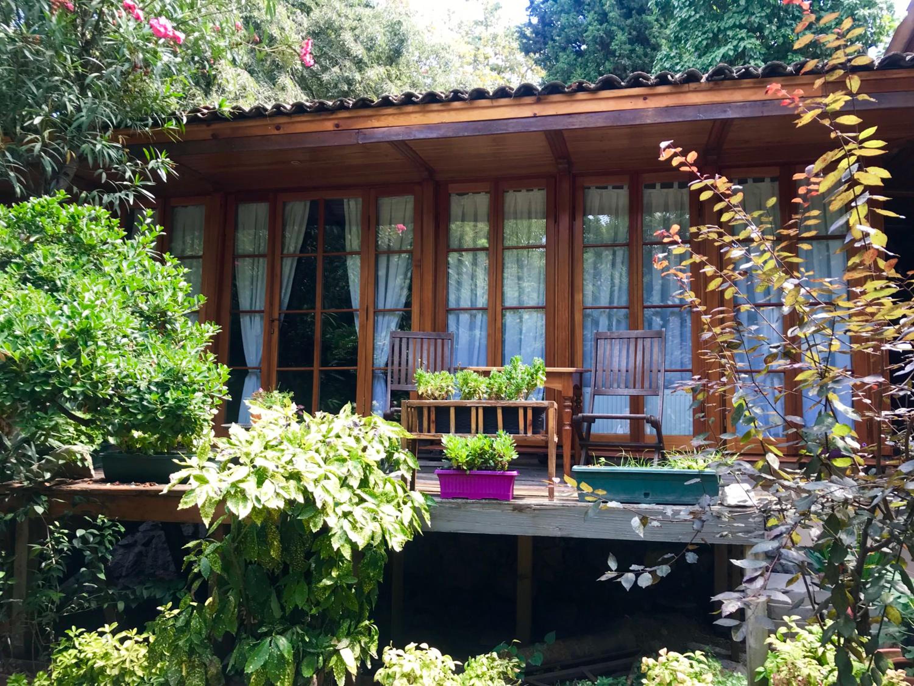 Bungalow With Garden View photo 2