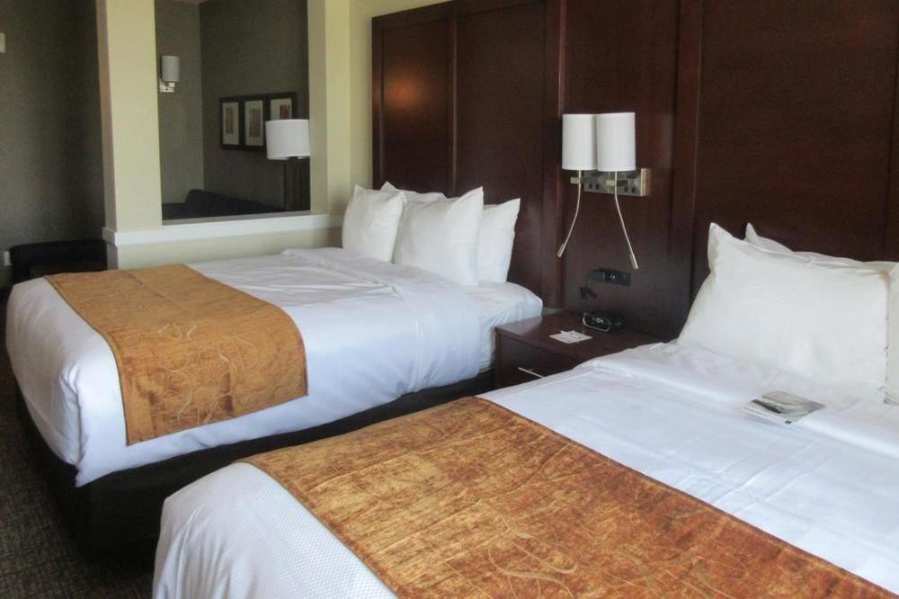 Queen Suite with Two Queen Beds - Accessible/Non-Smoking photo 3