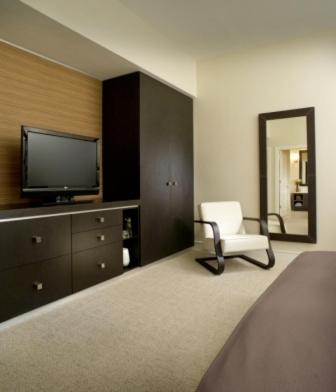 Studio with Sofa Bed