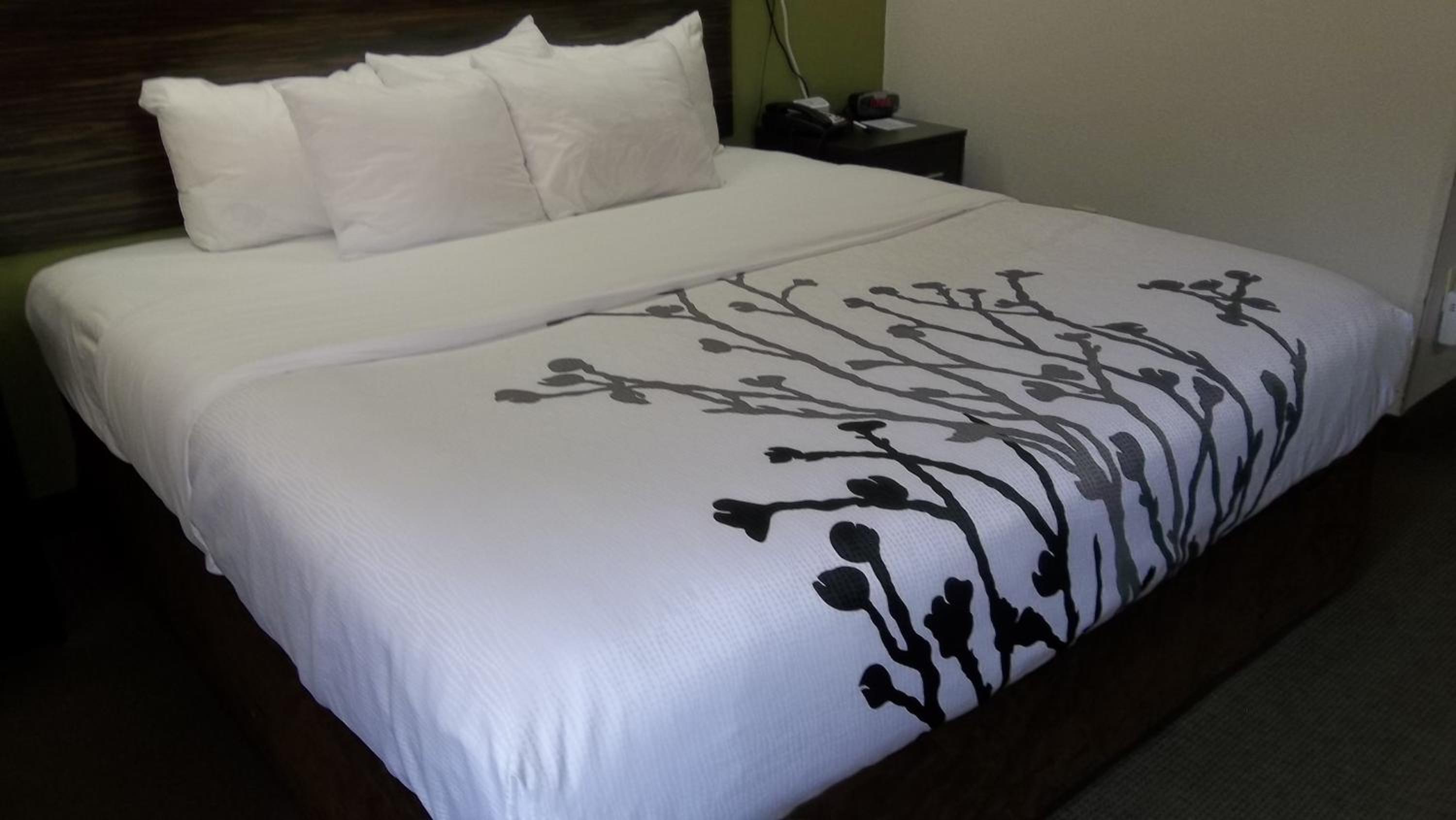 King Room - Photo 2