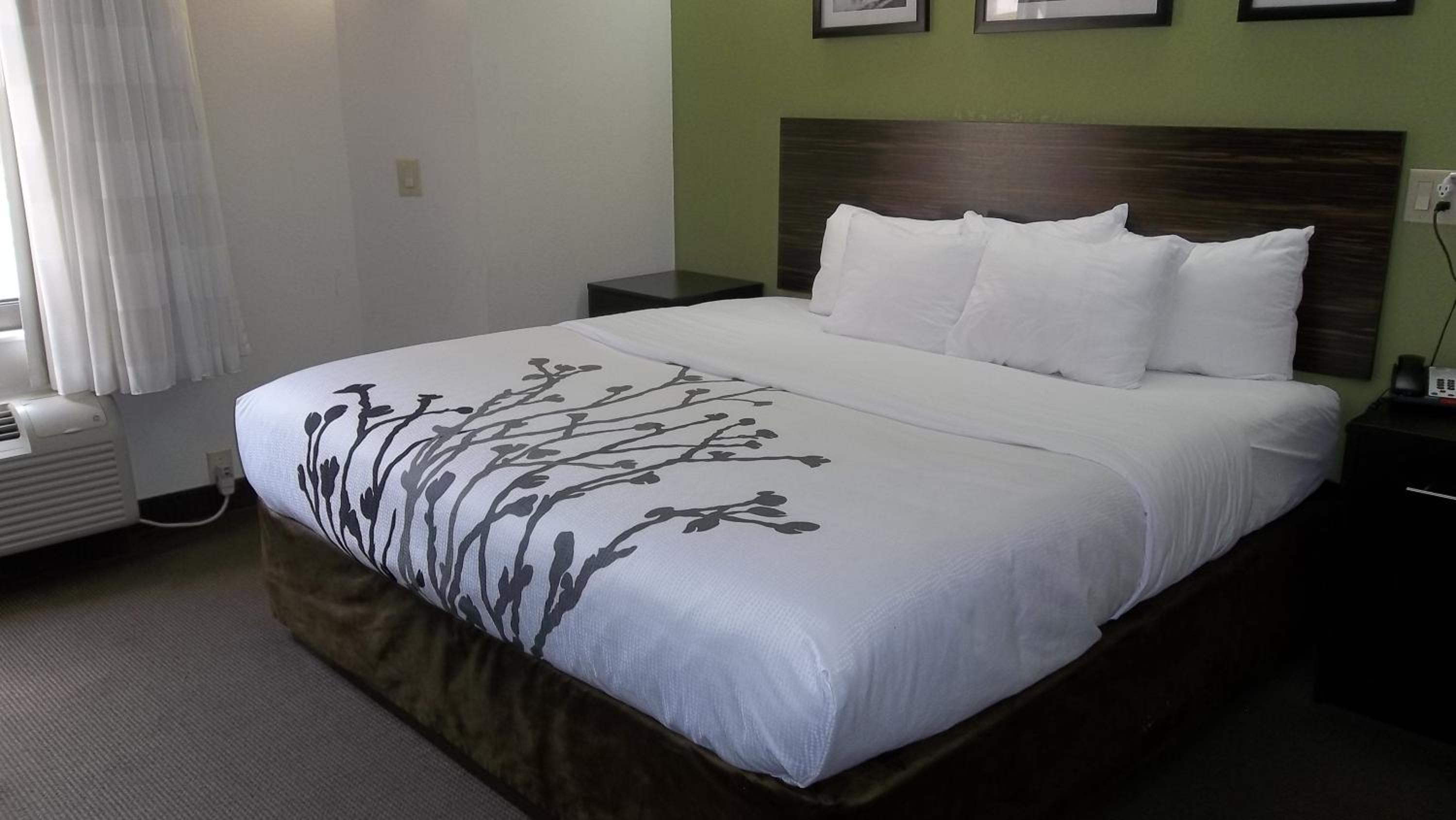 King Room - Photo 11