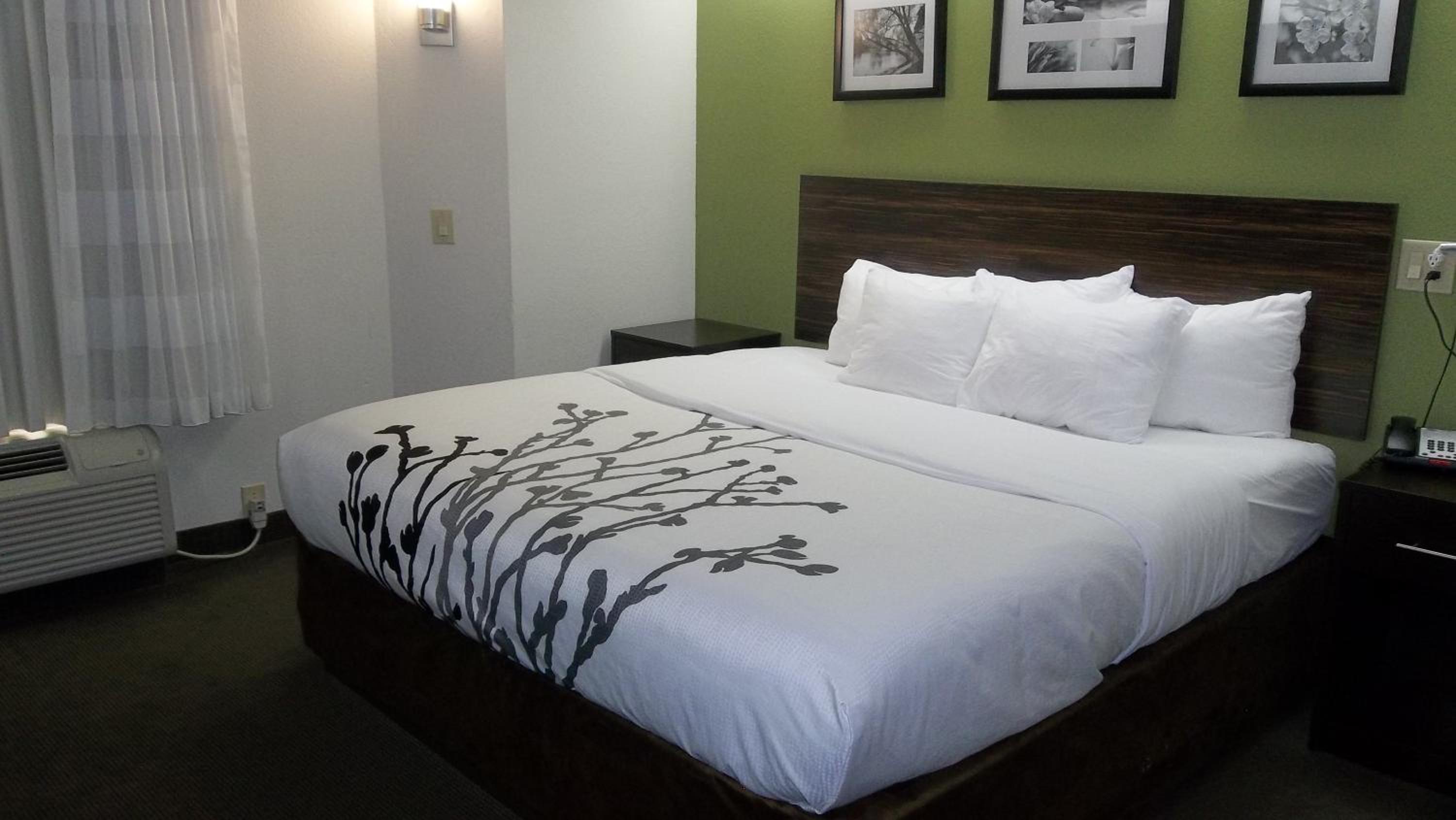 King Room - Photo 12