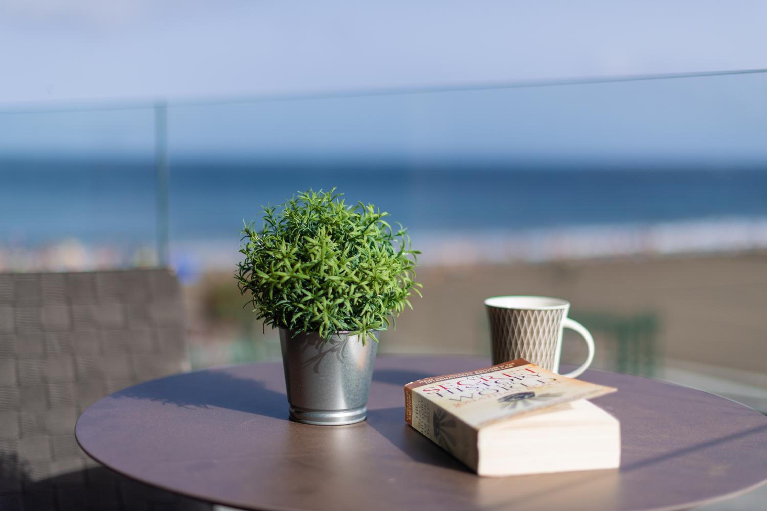 Apartment with Beach View (No Jacuzzi) photo 3